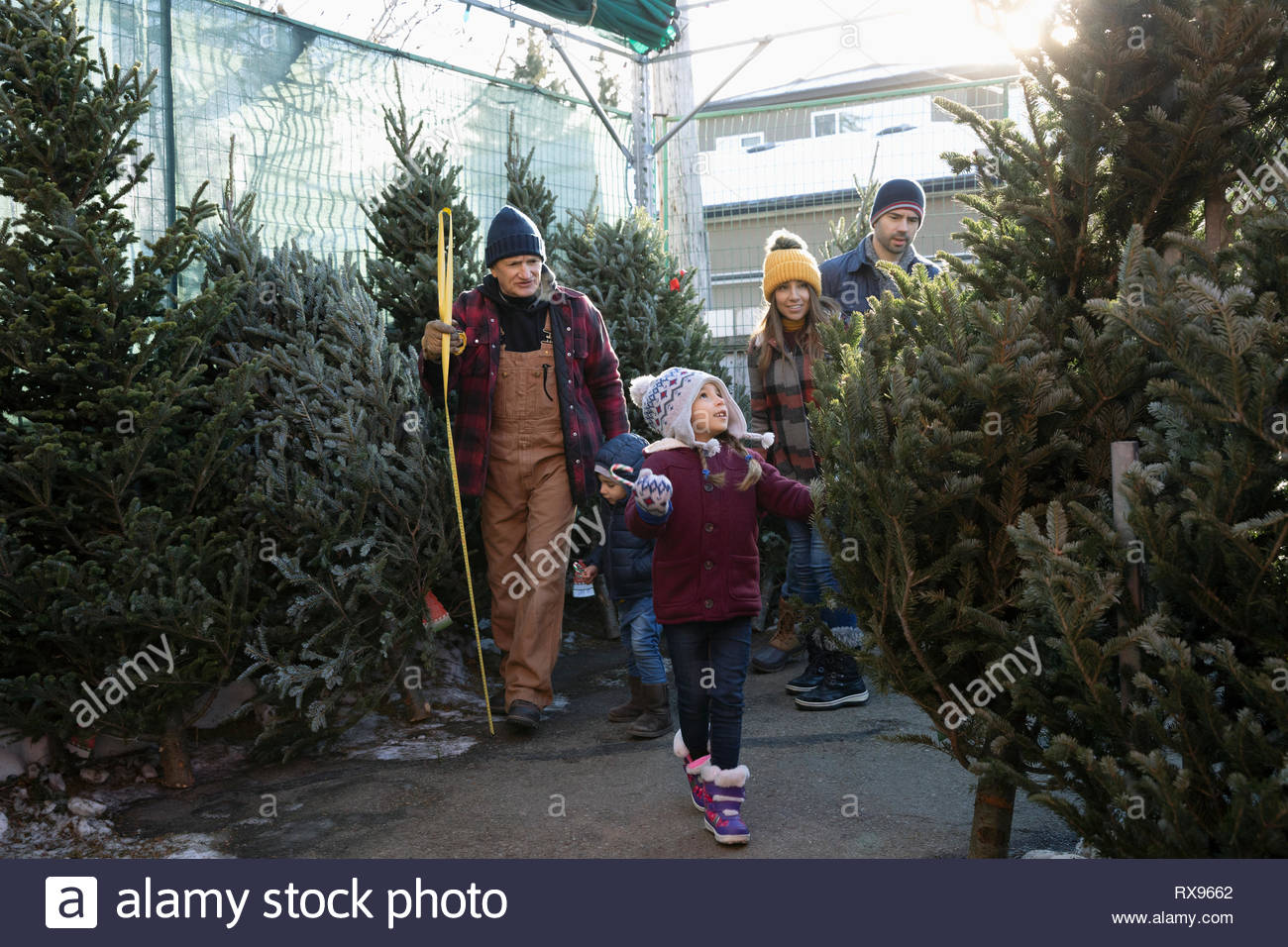Family shopping pour arbre de Noël Marché de Noël Banque D'Images