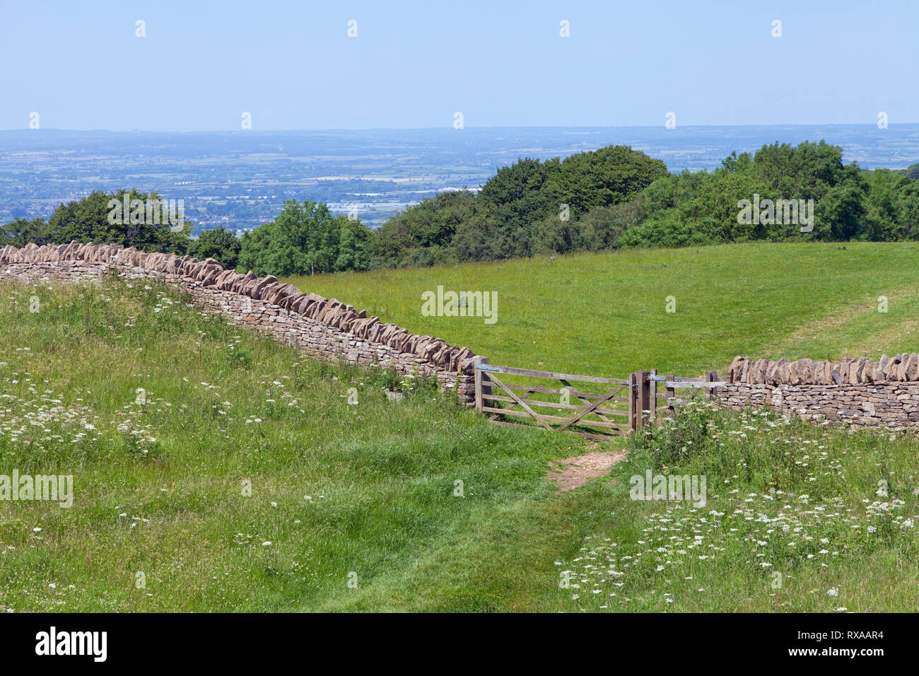 La porte en clôture mur de pierre à travers les prés, les champs de fleurs sauvages, sentier de randonnée dans la campagne des Cotswolds, le long d'une journée d'été . Banque D'Images