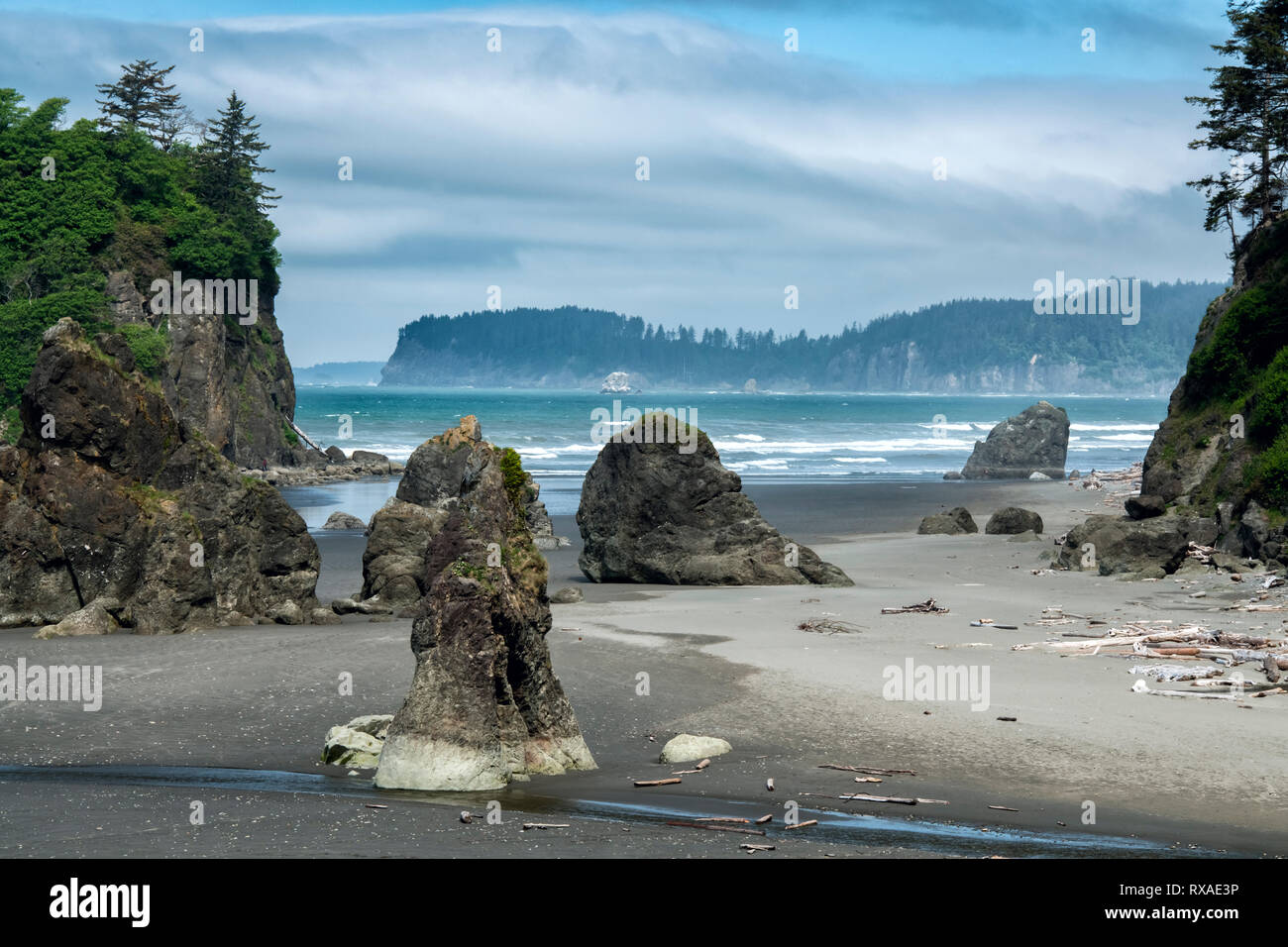 Ruby Beach, Pacific Northwest, Washington State, USA Banque D'Images