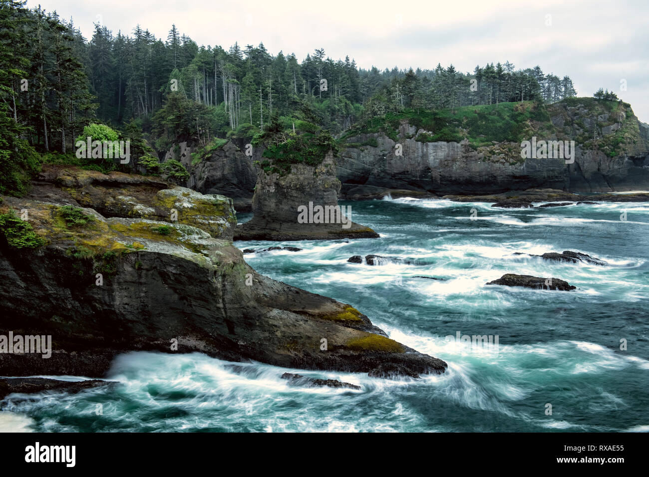 Cap Flattery, Pacific Northwest, Washington State, USA Banque D'Images