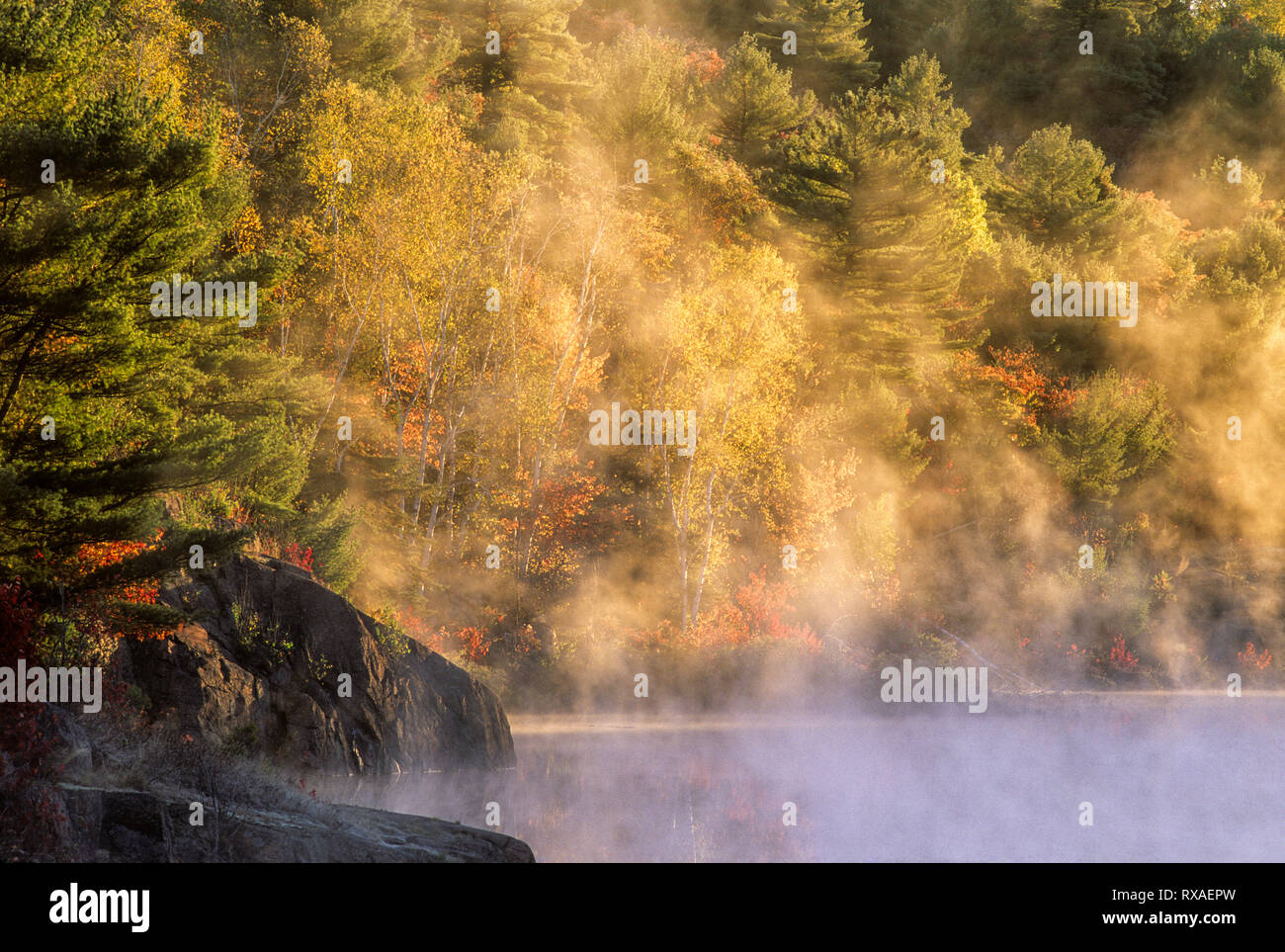 Brouillard d'automne sur la rivière Murdock, District de Sudbury, Ontario Banque D'Images