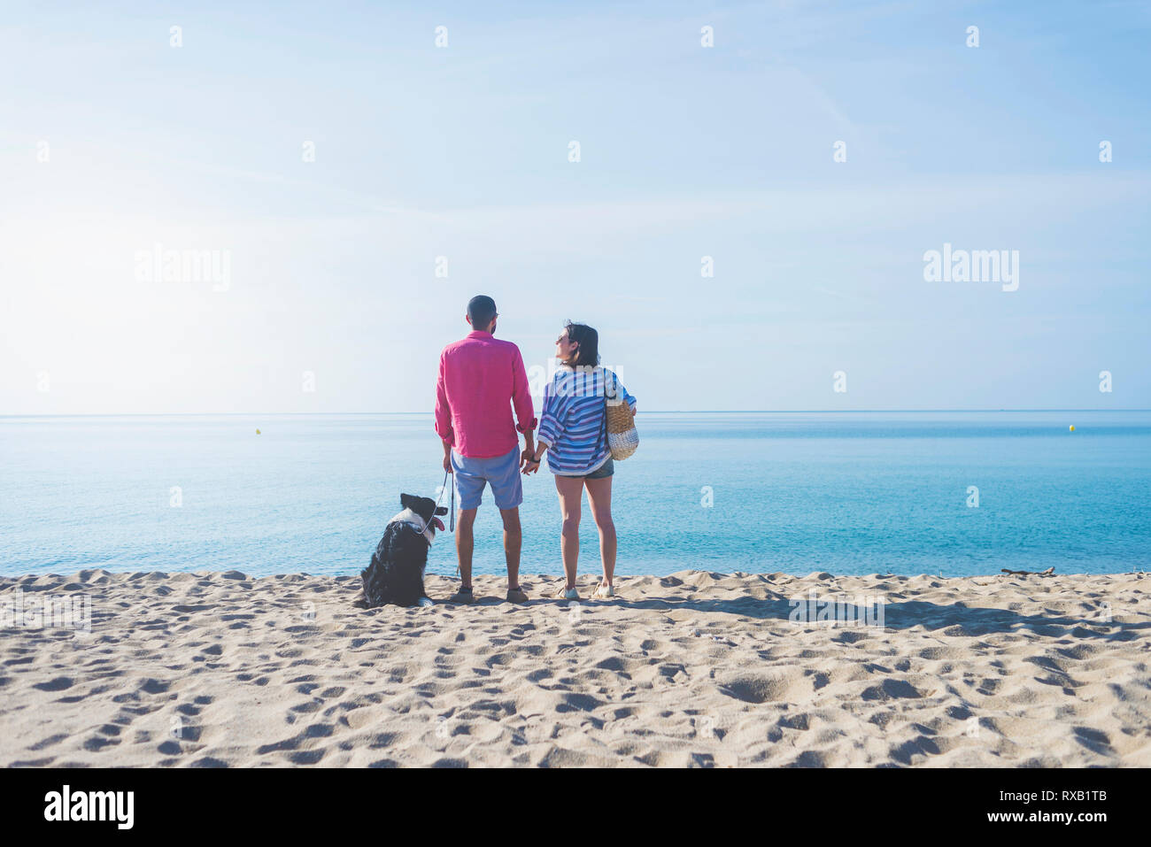 Vue arrière du couple avec chien à la sky au cours de journée ensoleillée Banque D'Images