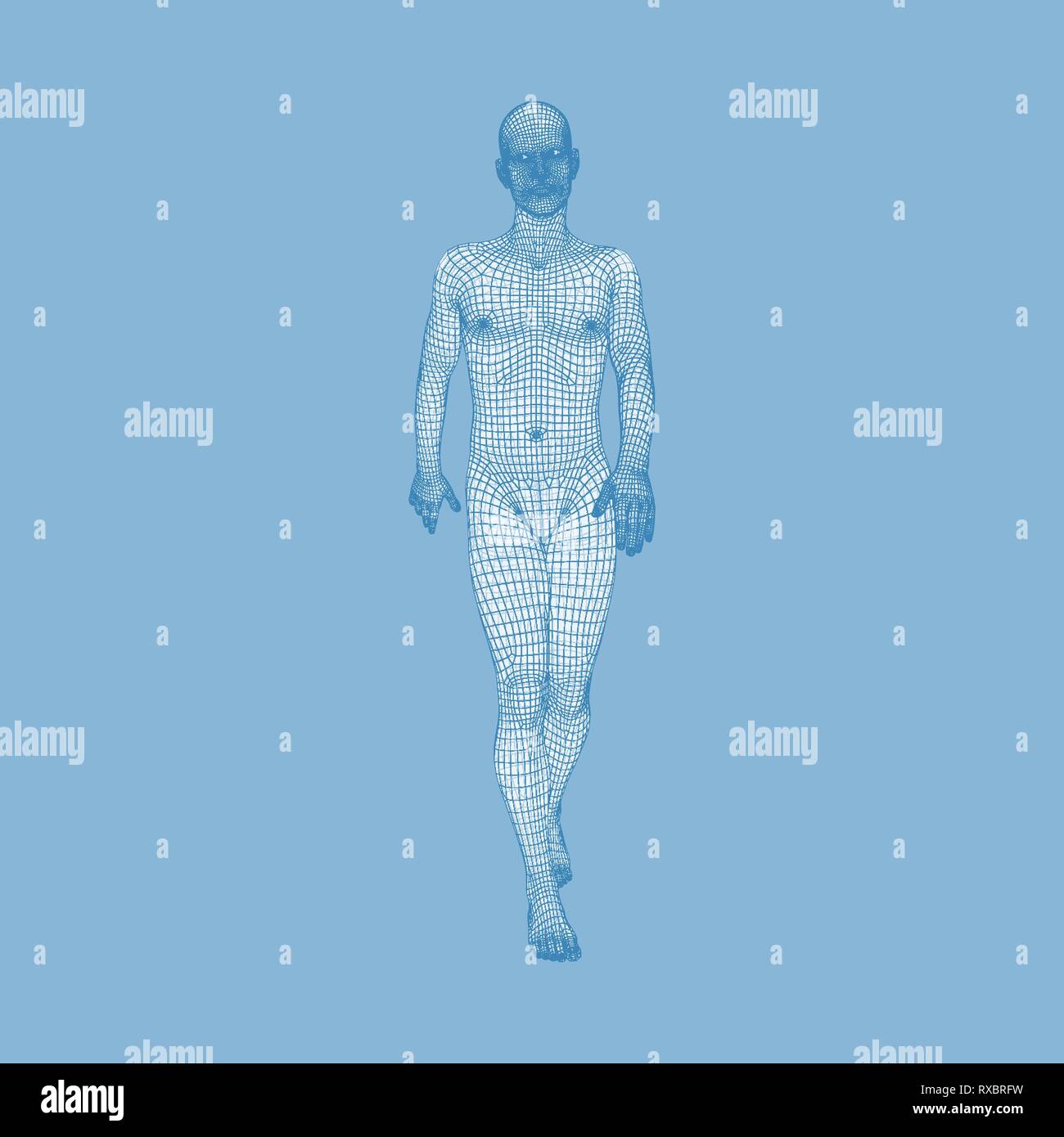 Walking Man. Corps humain 3D Modèle. Conception géométrique. Fil de ...