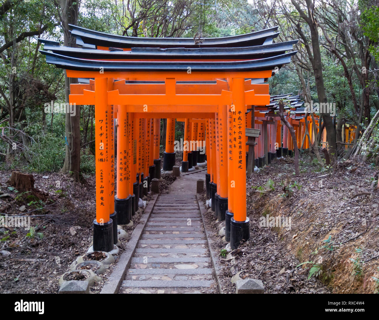 Kyoto, Japon - 13 octobre 2018 : Une rangée de Senbon torii gates, menant Fushimi Inari Taisha, situé dans le quartier de Fushimi, à Kyoto, au Japon. Banque D'Images