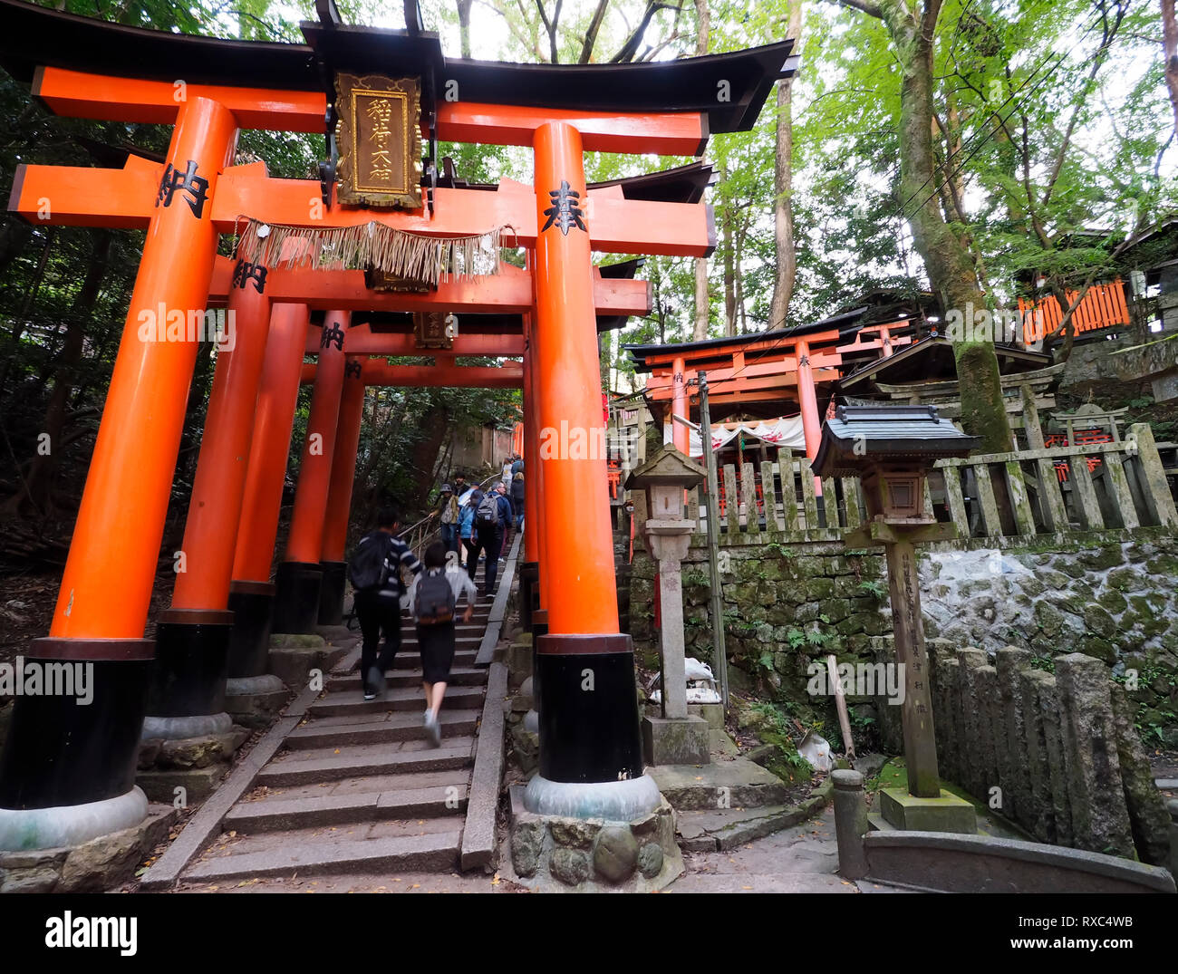 Les touristes sont à monter Senbon torii, un chemin d'environ 1 000 portes menant Fushimi Inari Taisha, situé dans le quartier de Fushimi à Kyoto, Japon Banque D'Images