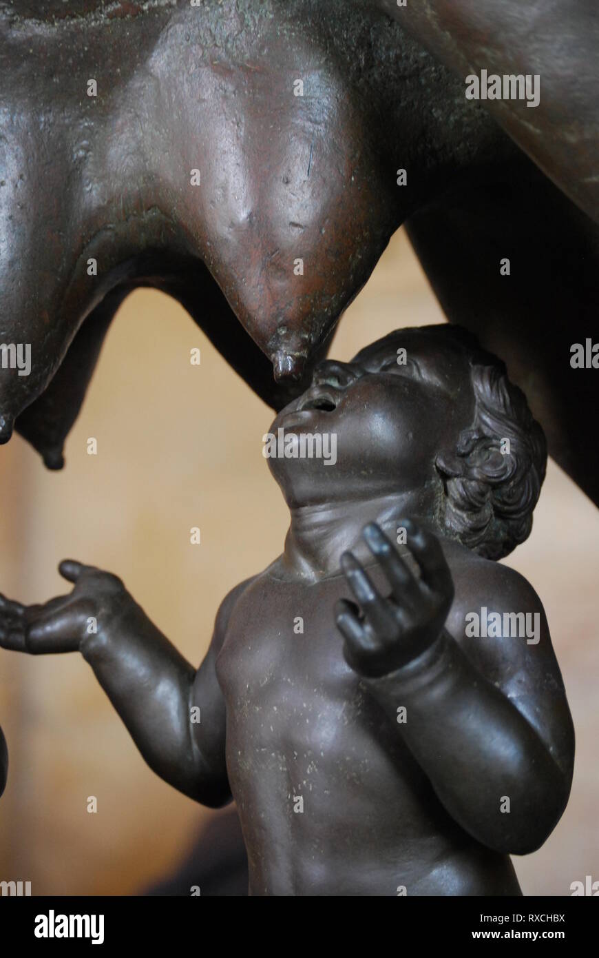 Le loup du Capitole, une sculpture en bronze représentant une scène de la légende de la fondation de Rome dans le musée du Capitole, Rome. Banque D'Images