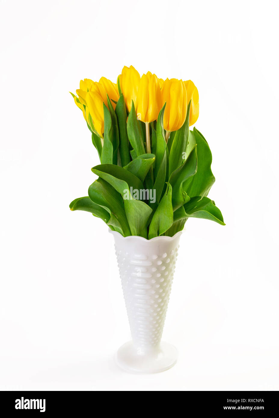Un bouquet de tulipes jaunes dans un vase en verre blanc. Banque D'Images