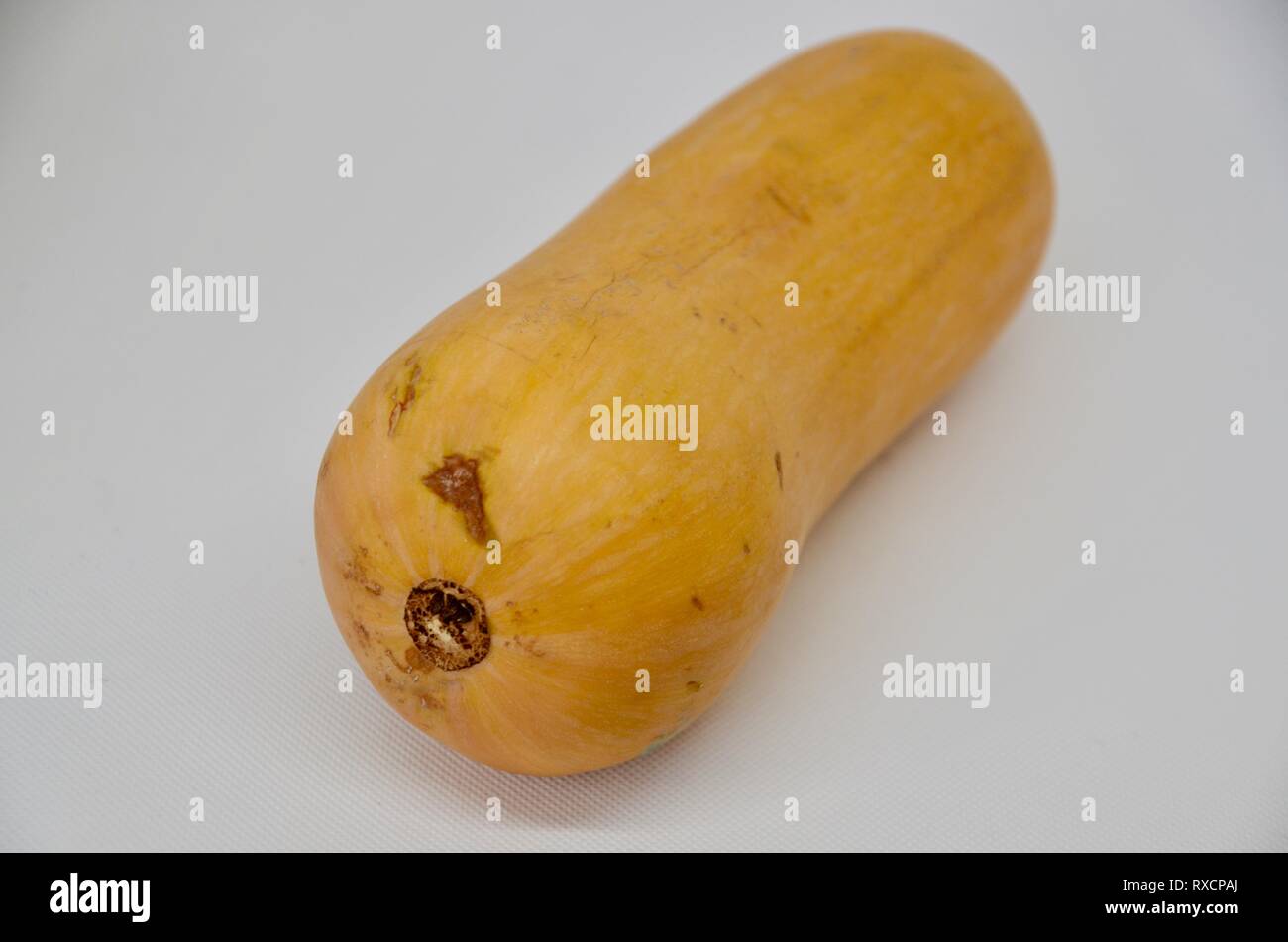 Une courge sur fond blanc Banque D'Images