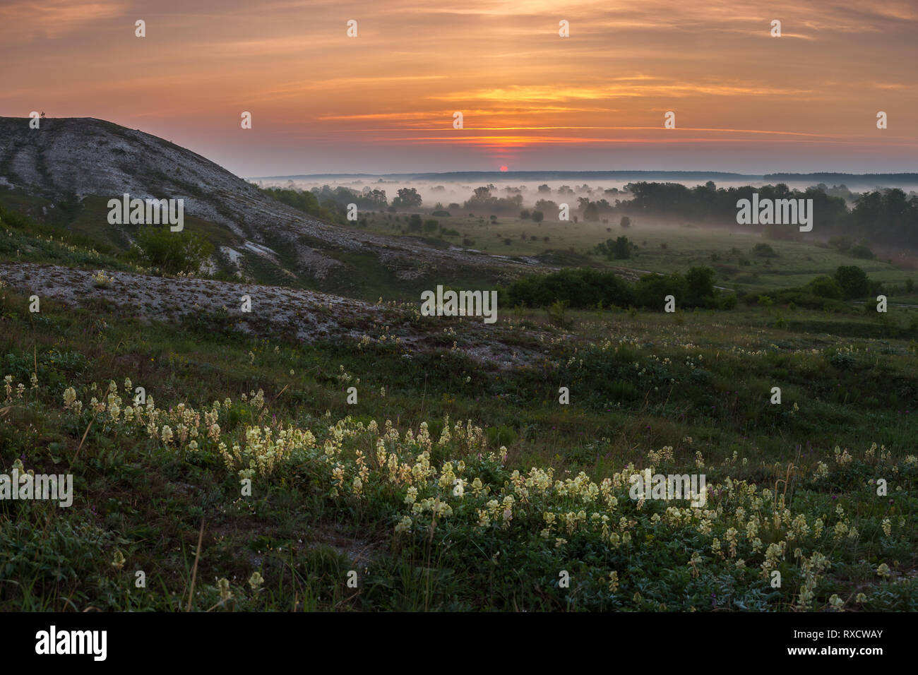Beau lever de soleil au-dessus des collines et des prés, Paysage de printemps avec des fleurs et des nuages majestueux dans le ciel Banque D'Images