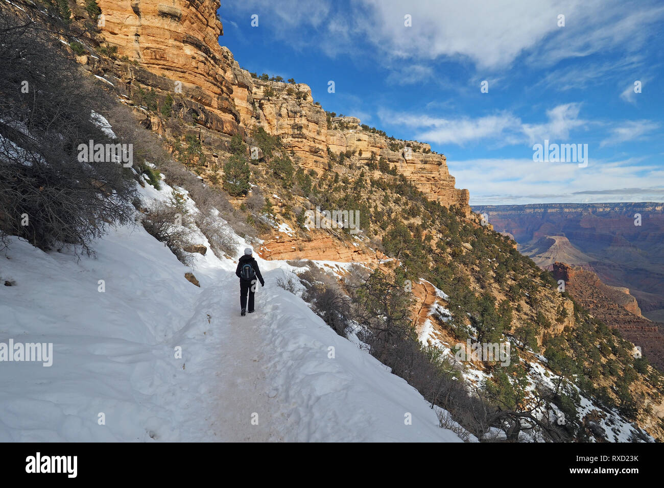 Randonnée femme on a snowy Bright Angel Trail dans le Parc National du Grand Canyon, Arizona, en hiver. Banque D'Images