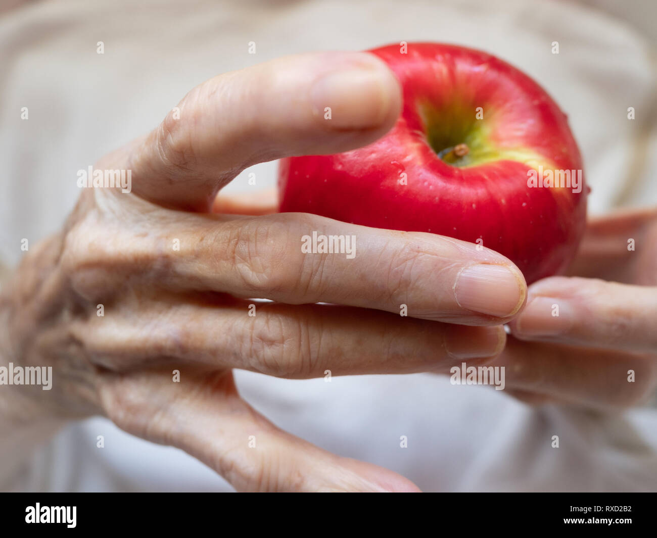 Close up of an elderly caucasian woman's hands holding a ripe red apple. Profondeur de champ. Banque D'Images
