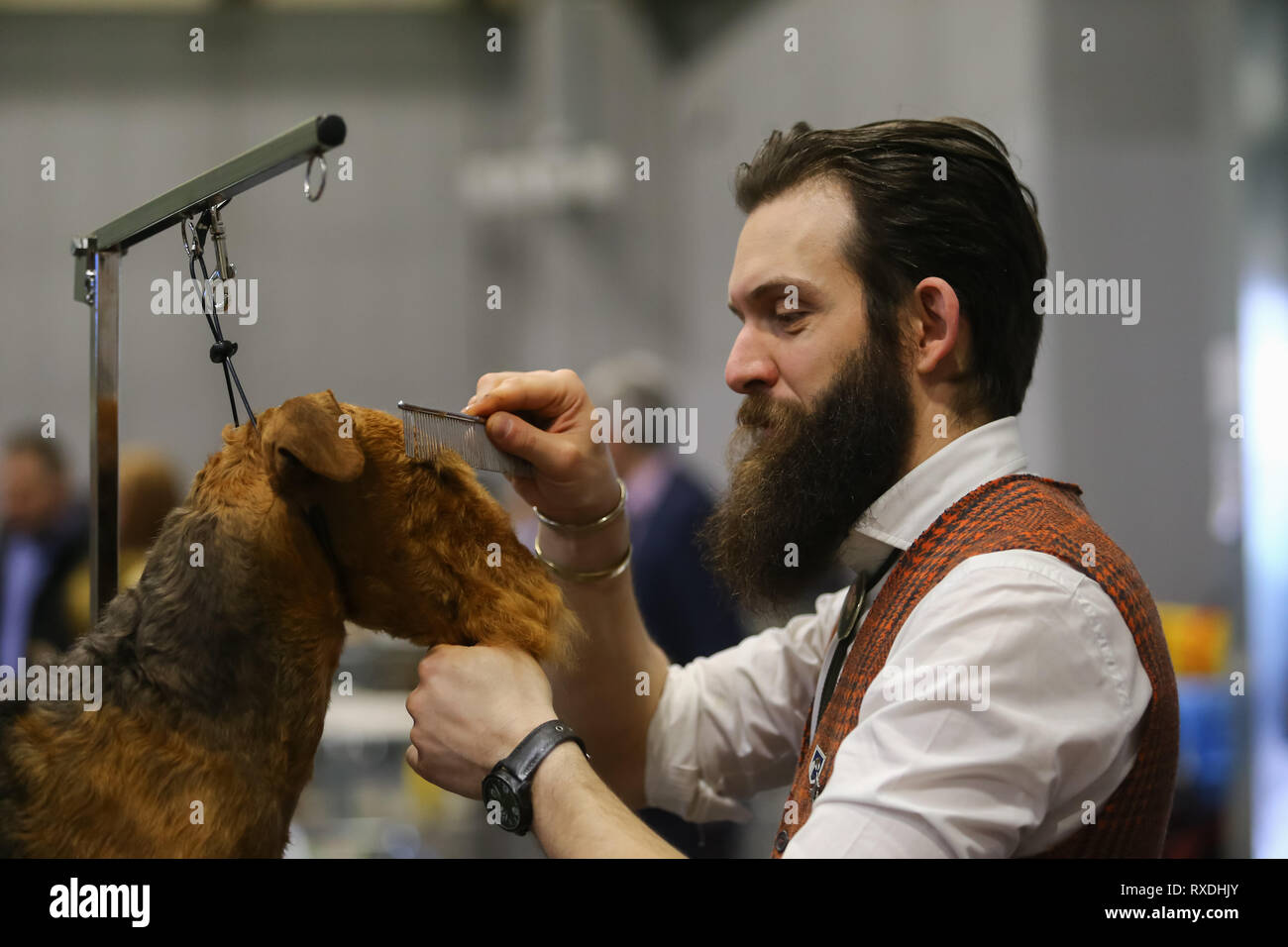 Birmingham, UK. 9 mars, 2019. Un terrier reçoit un peigne de dernière minute avant le spectacle. Crédit : Peter Lopeman/Alamy Live News Banque D'Images