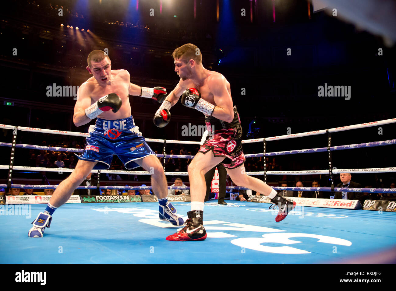 London uk 8 mars 2019 Boxing retourne au Royal Albert Hall de Londres Kensington gore Chris Jenkins bat Johnny garton pour devenir le nouveau champion britannique Johnny Garton v Crédit : Chris Jenkins Dean Fardell/Alamy Live News Banque D'Images