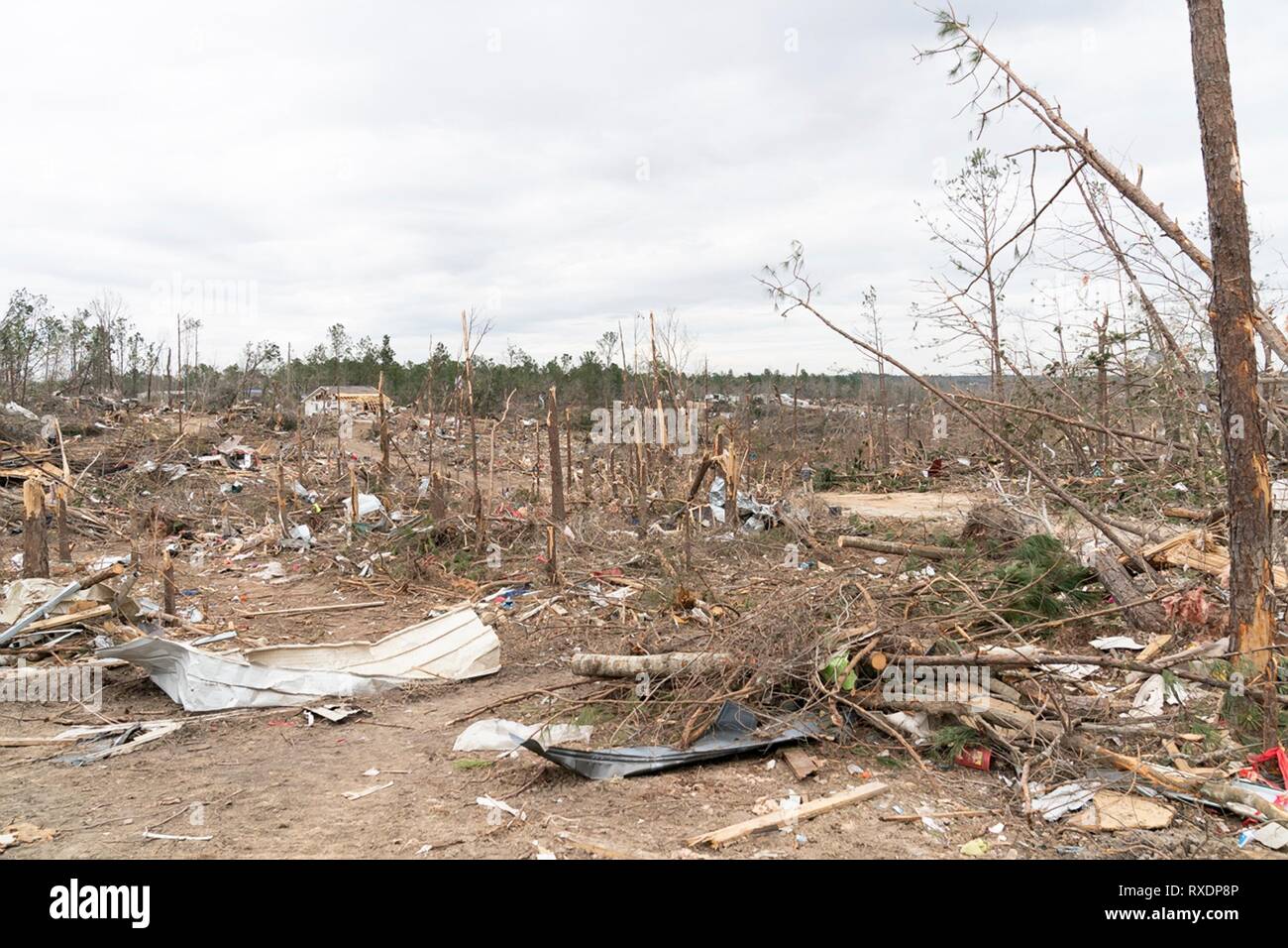 Montgomery, Alabama, USA. Le 08 mars, 2019. Vue de la destruction causée par une tornade massive le 8 mars 2019 dans Beauregard, Alabama. La région a été frappée par une tornade le 3 mars tuant 23 personnes. Credit : Planetpix/Alamy Live News Banque D'Images