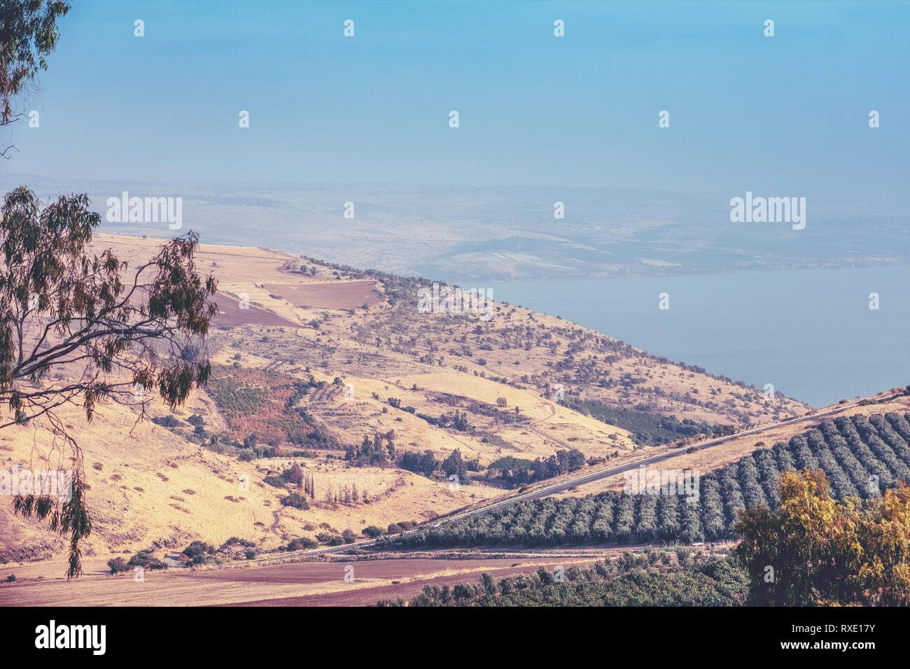 Vue aérienne de la côte de la mer de Galilée, près de Tibériade, Israël Banque D'Images