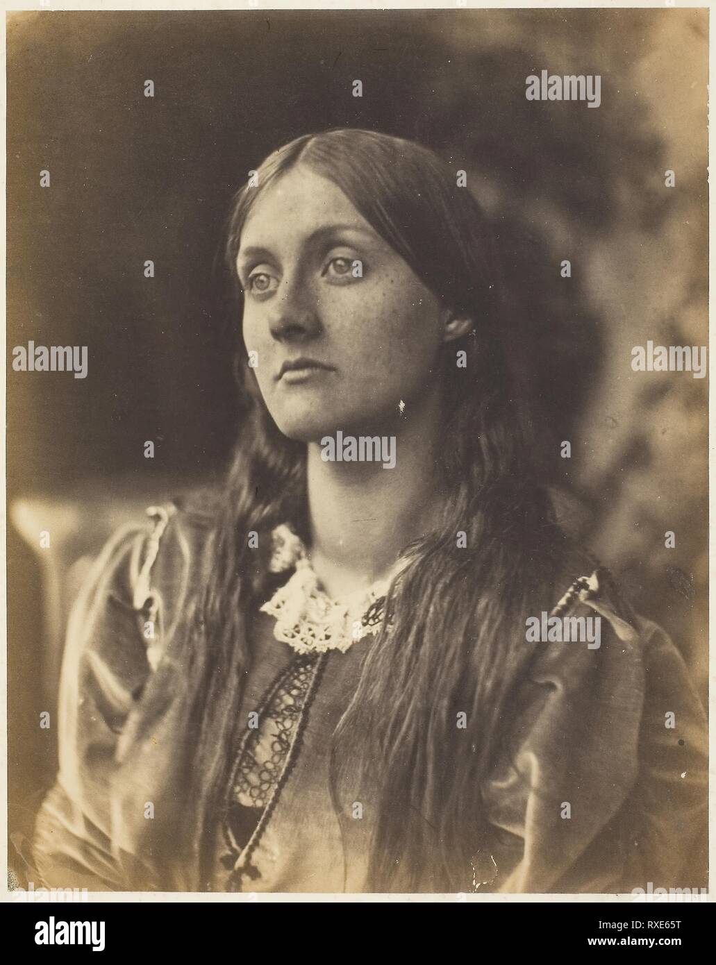 Julia Jackson. Julia Margaret Cameron ; anglais, 1815-1879. Date : 1859-1870. Dimensions : 25,2 × 20,1 cm (image/papier), 38 × 28.5 cm (support). L'albumine. Origine : Angleterre. Musée : le Chicago Art Institute. Banque D'Images