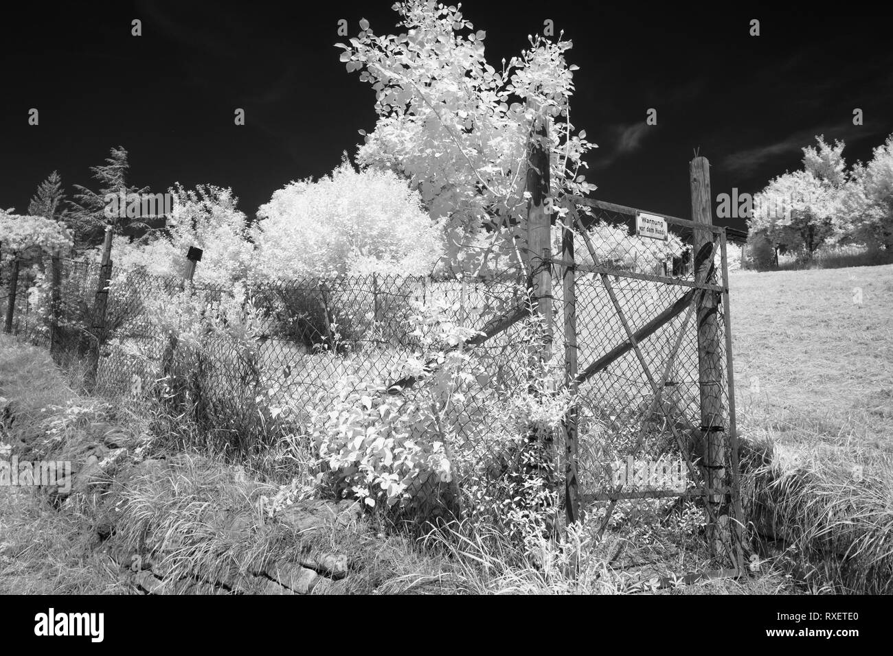 L'infrarouge noir et blanc pré et jardin avec clôture avertissement chien Banque D'Images