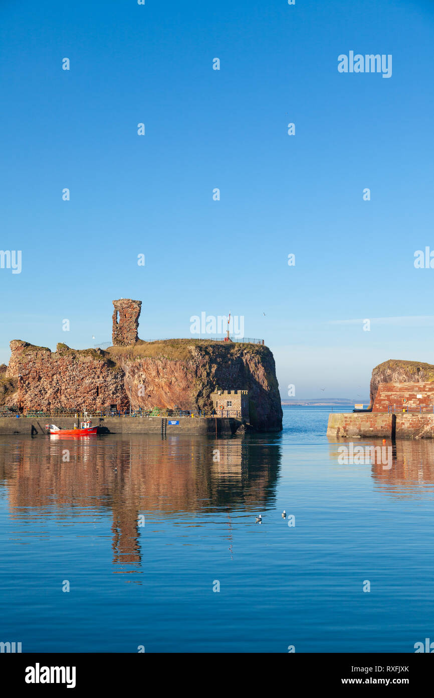 Une journée calme dans la région de Dunbar Harbour East Lothian, Ecosse Banque D'Images