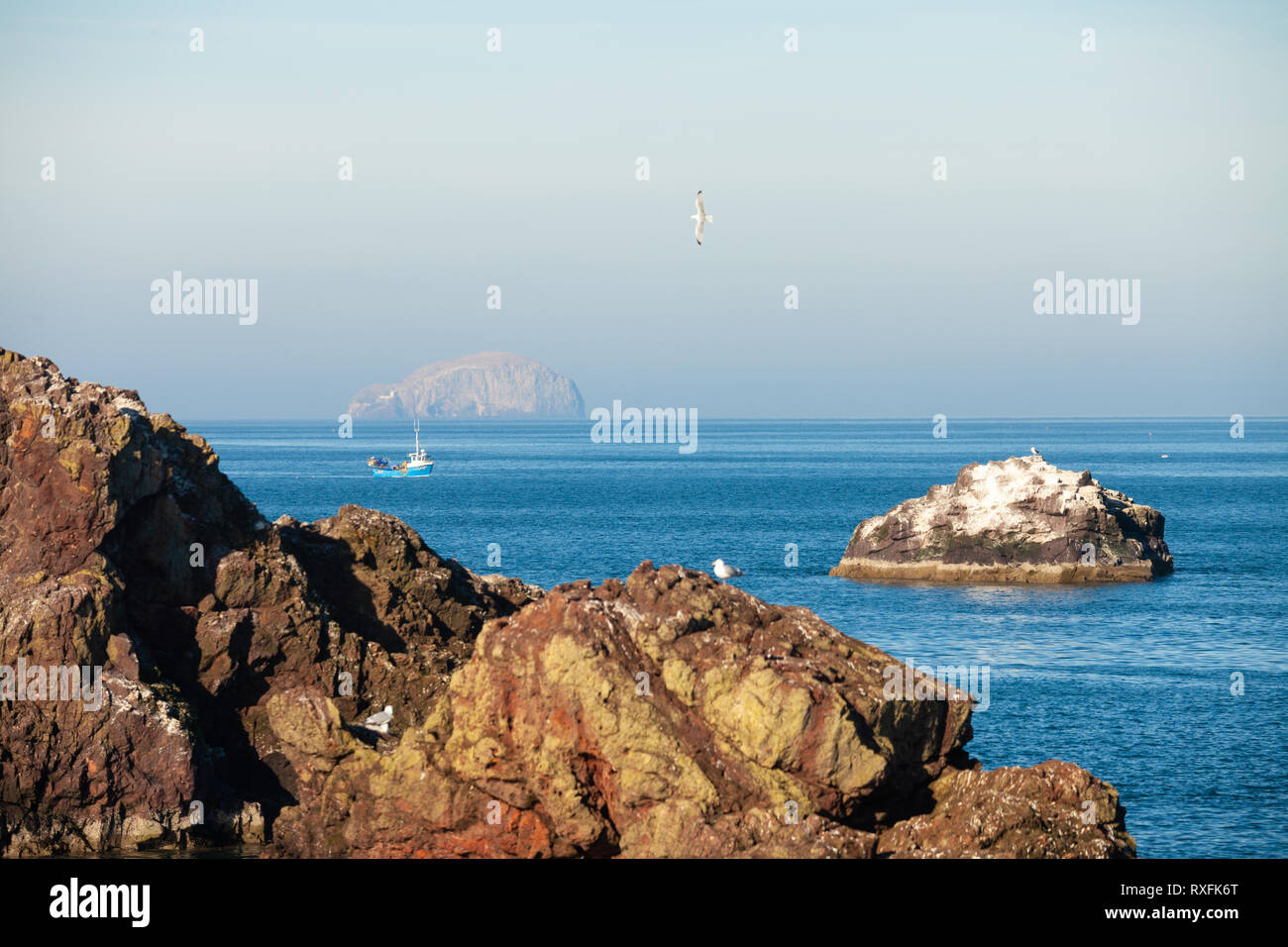 À partir de Dunbar port à la Bass Rock. Banque D'Images