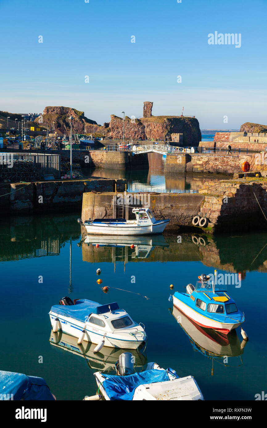 Les bateaux de plaisance amarrés dans le Vieux Port avec Dunbar Dunbar Castle dans l'arrière-plan. Dunbar, East Lothian, Scotland Banque D'Images