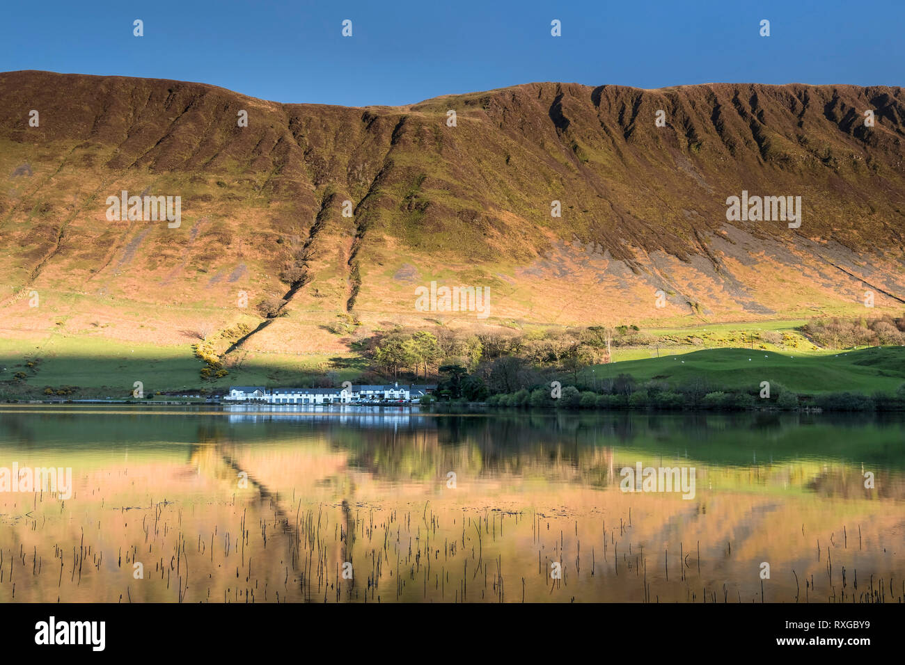 Tal y llyn Lake soutenu par les falaises imposantes de Graig Goch, parc national de Snowdonia, Gwynedd, au nord du Pays de Galles Banque D'Images