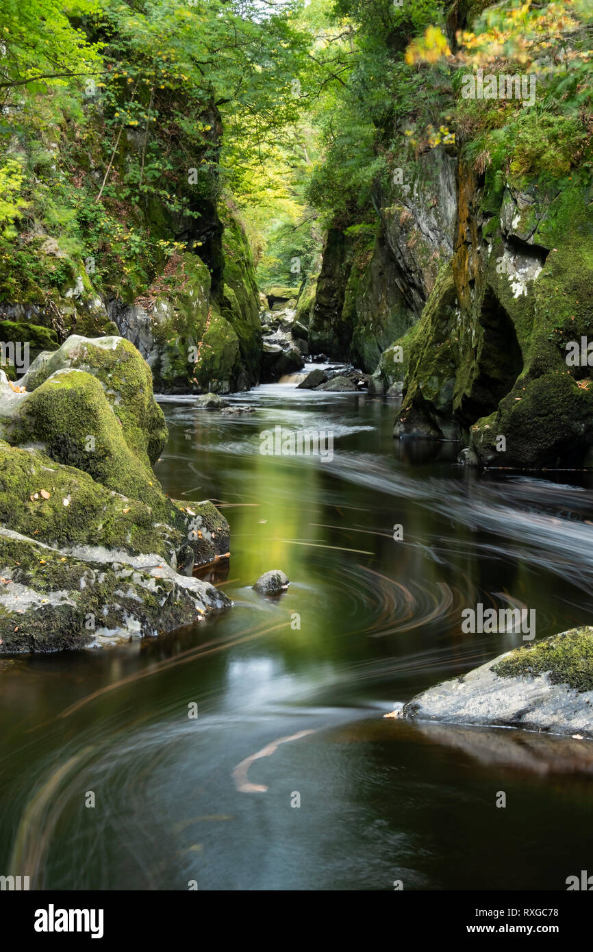 La rivière Conwy et Fairy Glen, près de Betws y Coed, Parc National de Snowdonia, le Nord du Pays de Galles, Royaume-Uni Banque D'Images