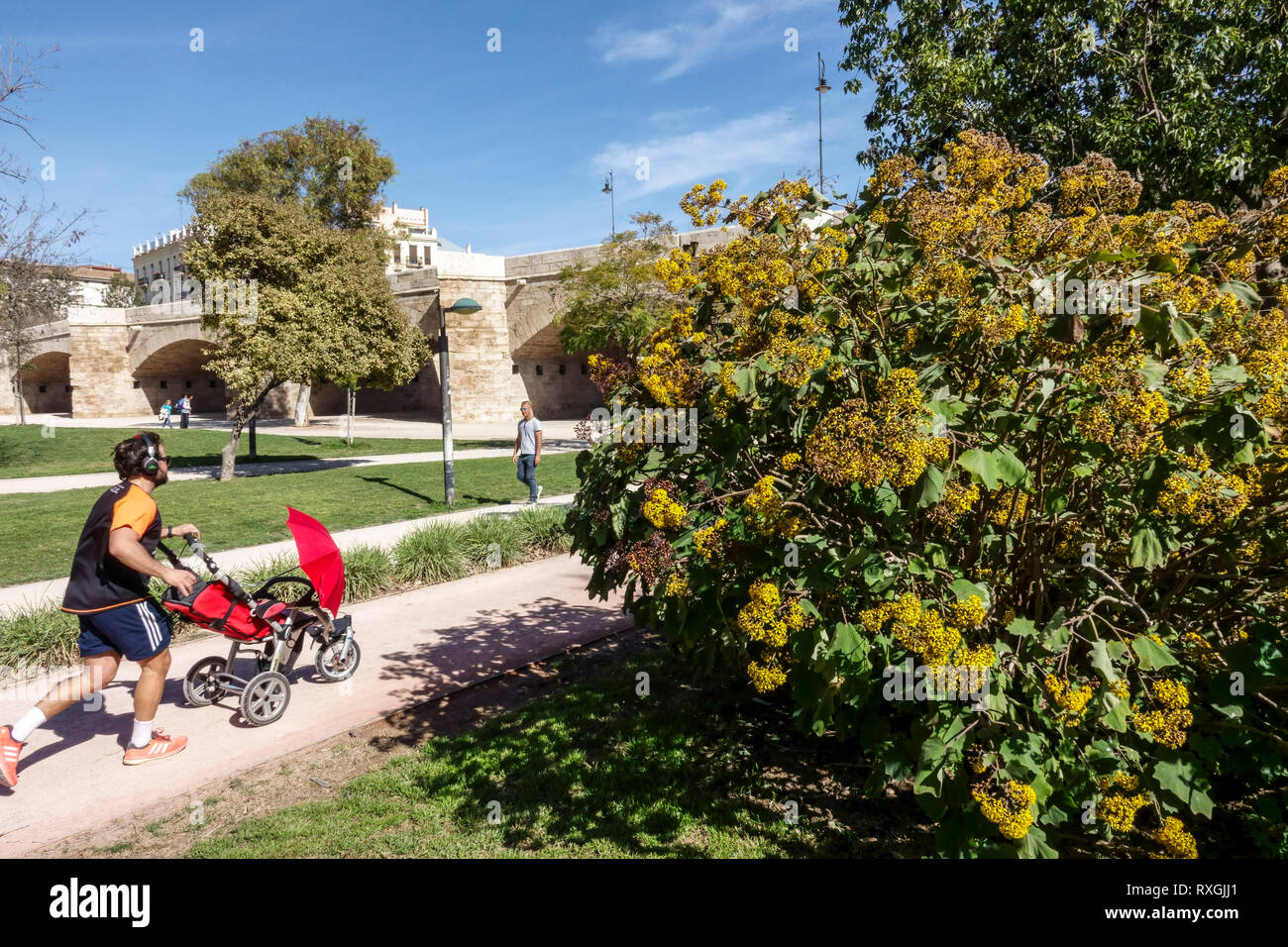 Valencia Turia Park. Ancien lit de la rivière, un endroit pour beaucoup d'activités de loisirs, Man Running Park avec des écouteurs et Man Pushing PRAM Espagne jogging Banque D'Images