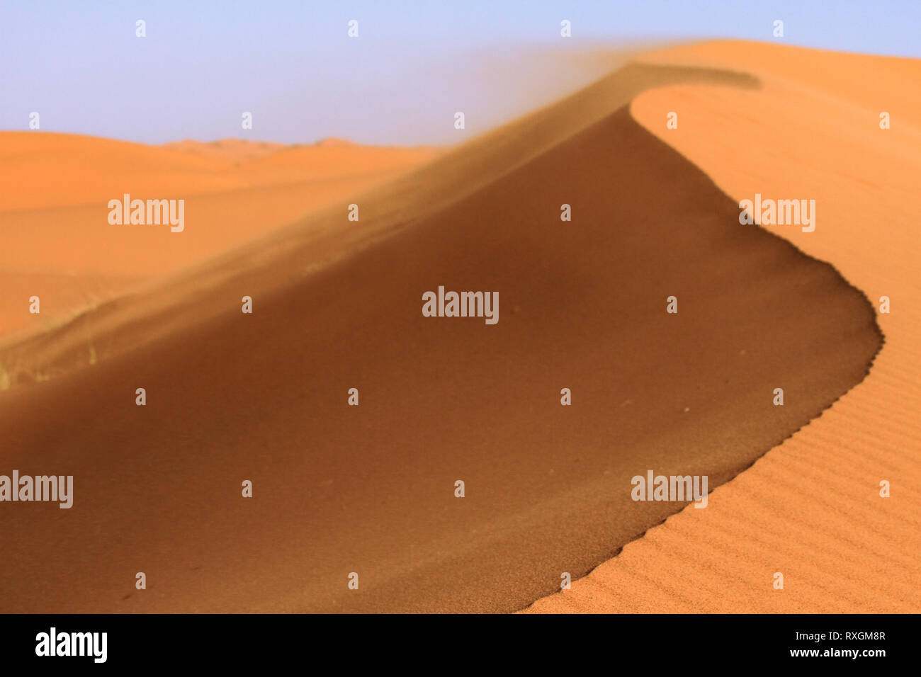 La crête de dunes détail, Close up avec ciel bleu. Les ondulations du sable orange et la texture