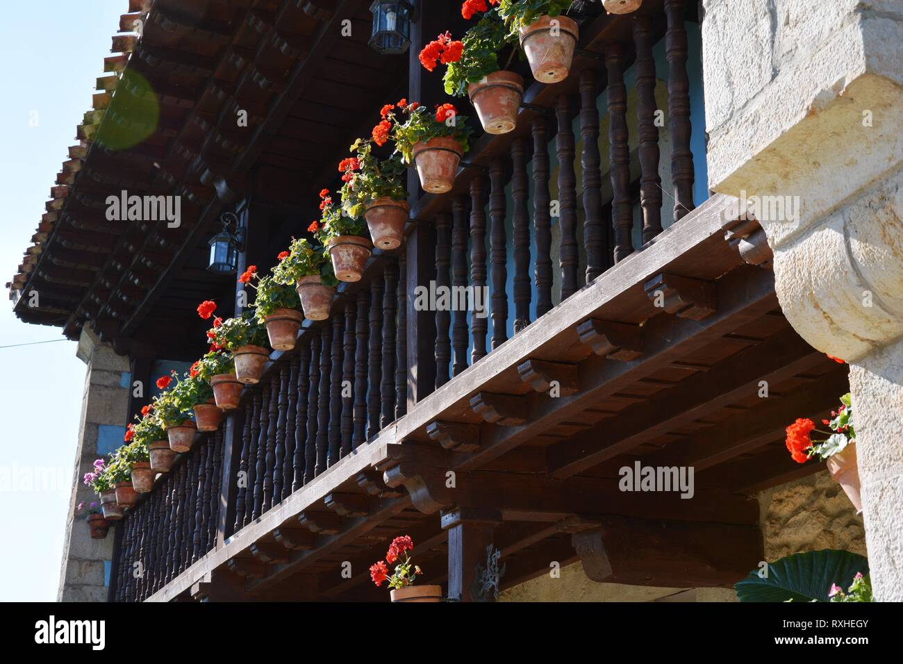 Géraniums dans une ligne d'une balcon Banque D'Images