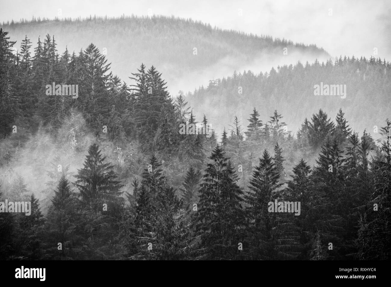 Port Renfrew, l'île de Vancouver, BC Canada Banque D'Images