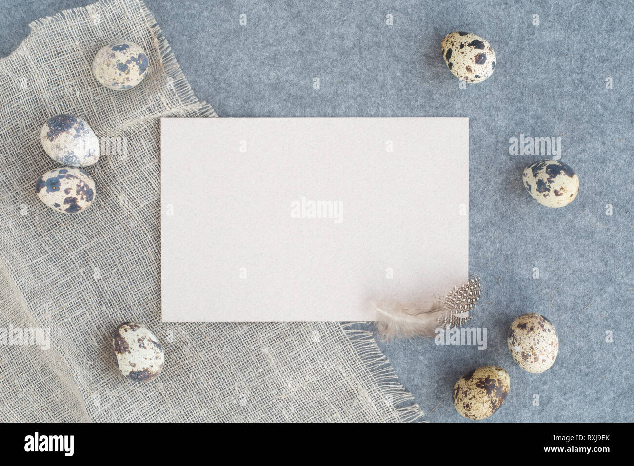 Carte de vœux de pâques avec copie espace pour le texte et une très belle décoration d'oeufs et de plumes sur du tissu de couleur pastel arrière-plan modèle de conception Banque D'Images