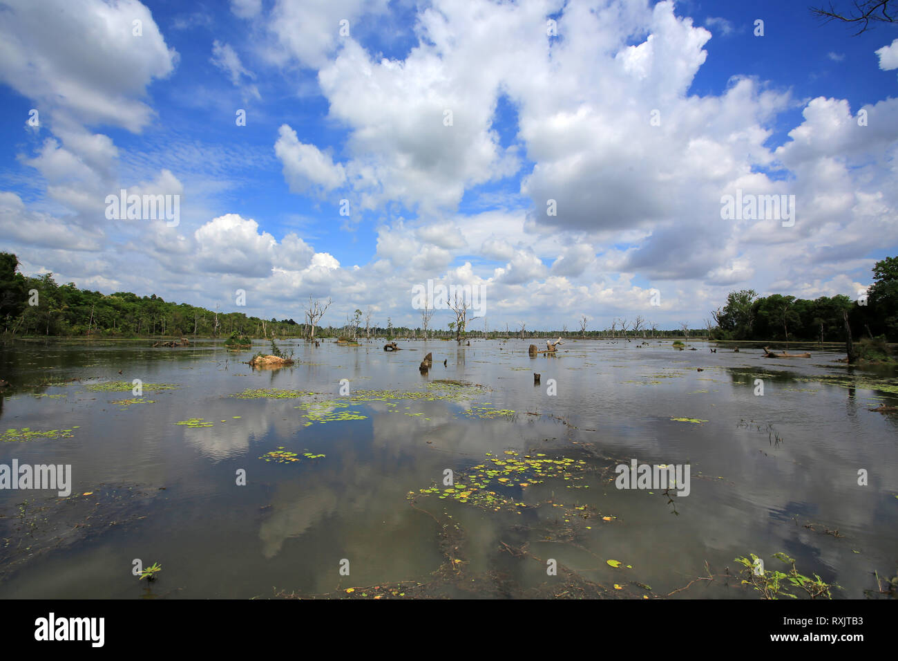 Neak Pean au Cambodge Banque D'Images