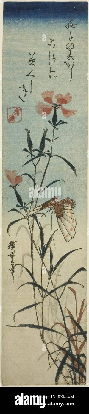 Et rose et papillon. Utagawa Hiroshige ? ?  ? ? ; Japonais, 1797-1858. Date : 1843-1847. Dimensions : 34 x 7,3 cm. Gravure sur bois en couleur ; kotanzaku. Origine : Japon. Musée : le Chicago Art Institute. Banque D'Images