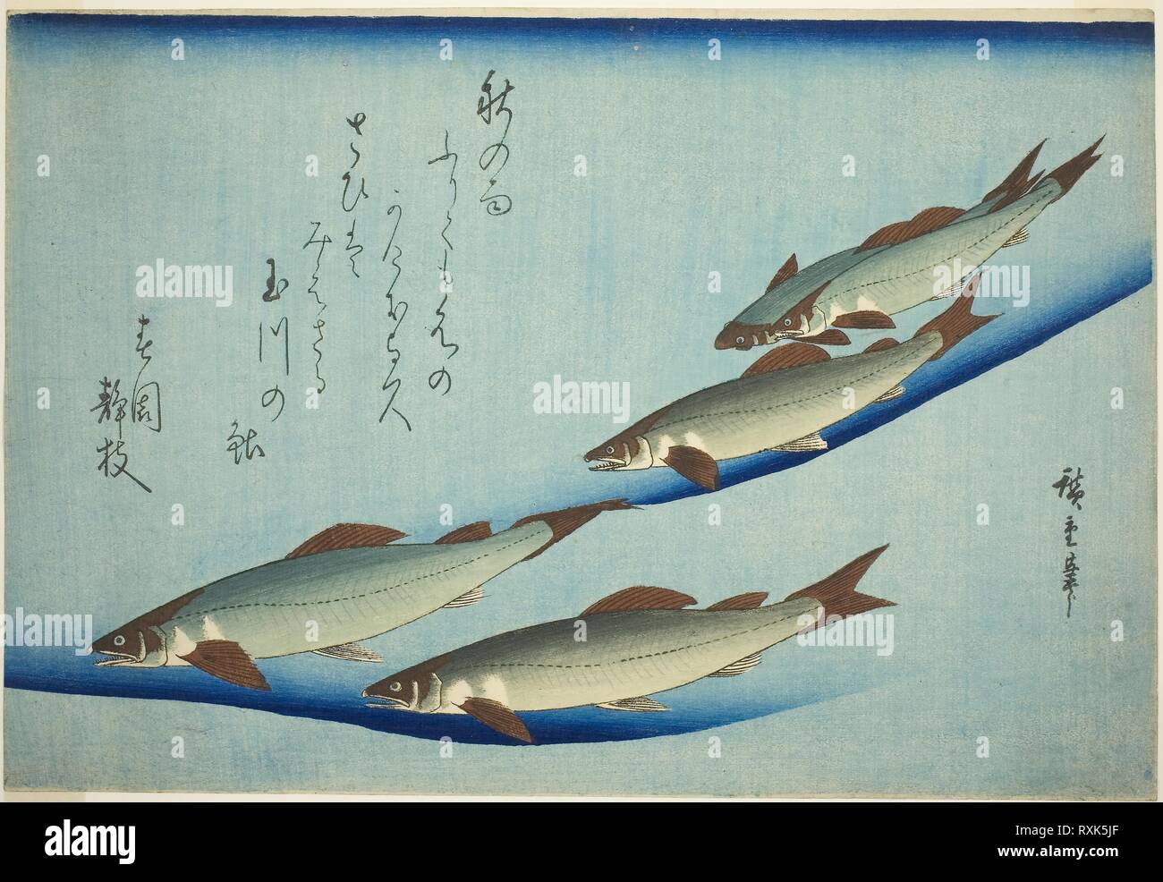 La truite de rivière. Utagawa Hiroshige ? ?  ? ? ; Japonais, 1797-1858. Date : 1827-1849. Dimensions : 25,6 x 37,2 cm. Gravure sur bois en couleur ; Oban. Origine : Japon. Musée : le Chicago Art Institute. Banque D'Images
