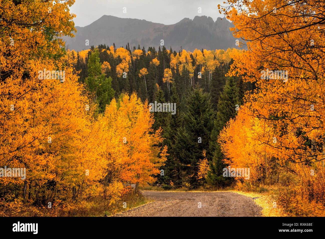 Dernier Dollar Road à l'automne, Colorado, USA Banque D'Images