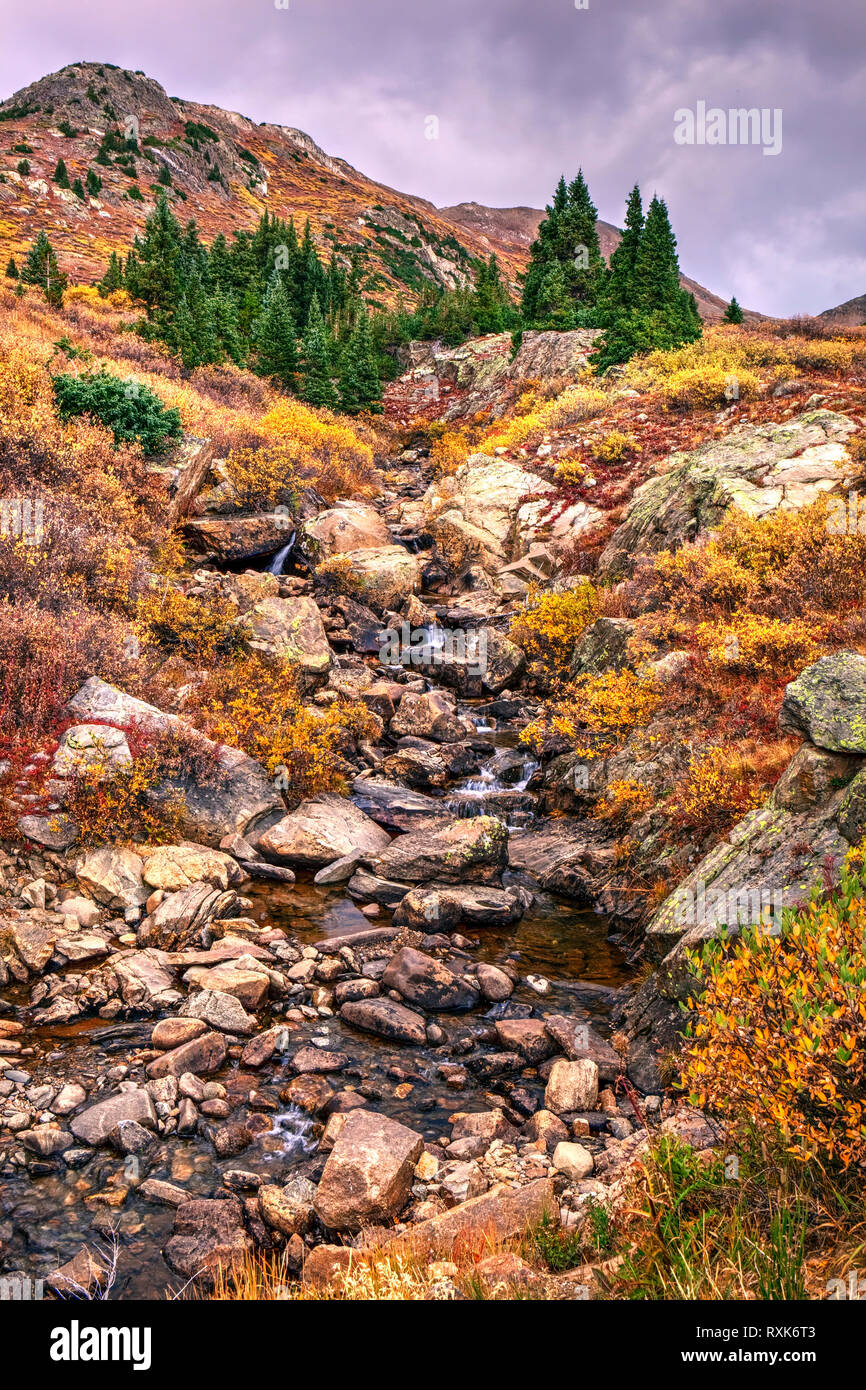 Le long du ruisseau Roaring Fork Valley, Colorado, USA Banque D'Images