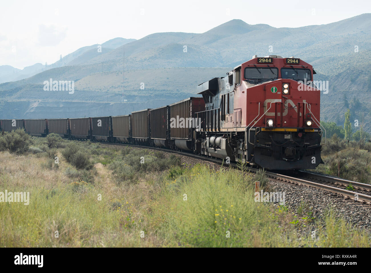 Un train de charbon du CN près de Savona, British Columbia, Canada Banque D'Images