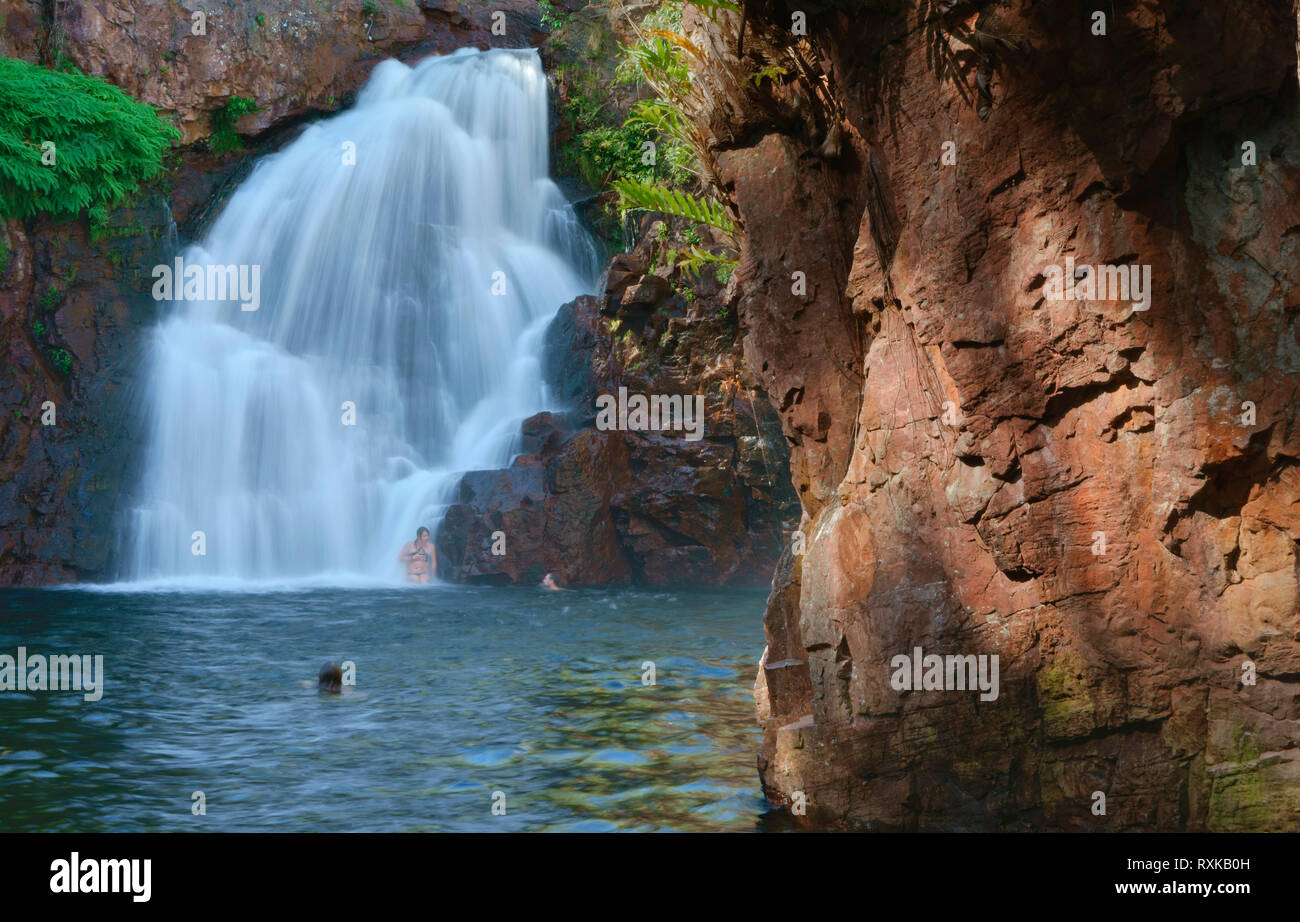 Litchfield National Park, Territoire du Nord de l'Australie, l'Australie, Florence Falls Banque D'Images