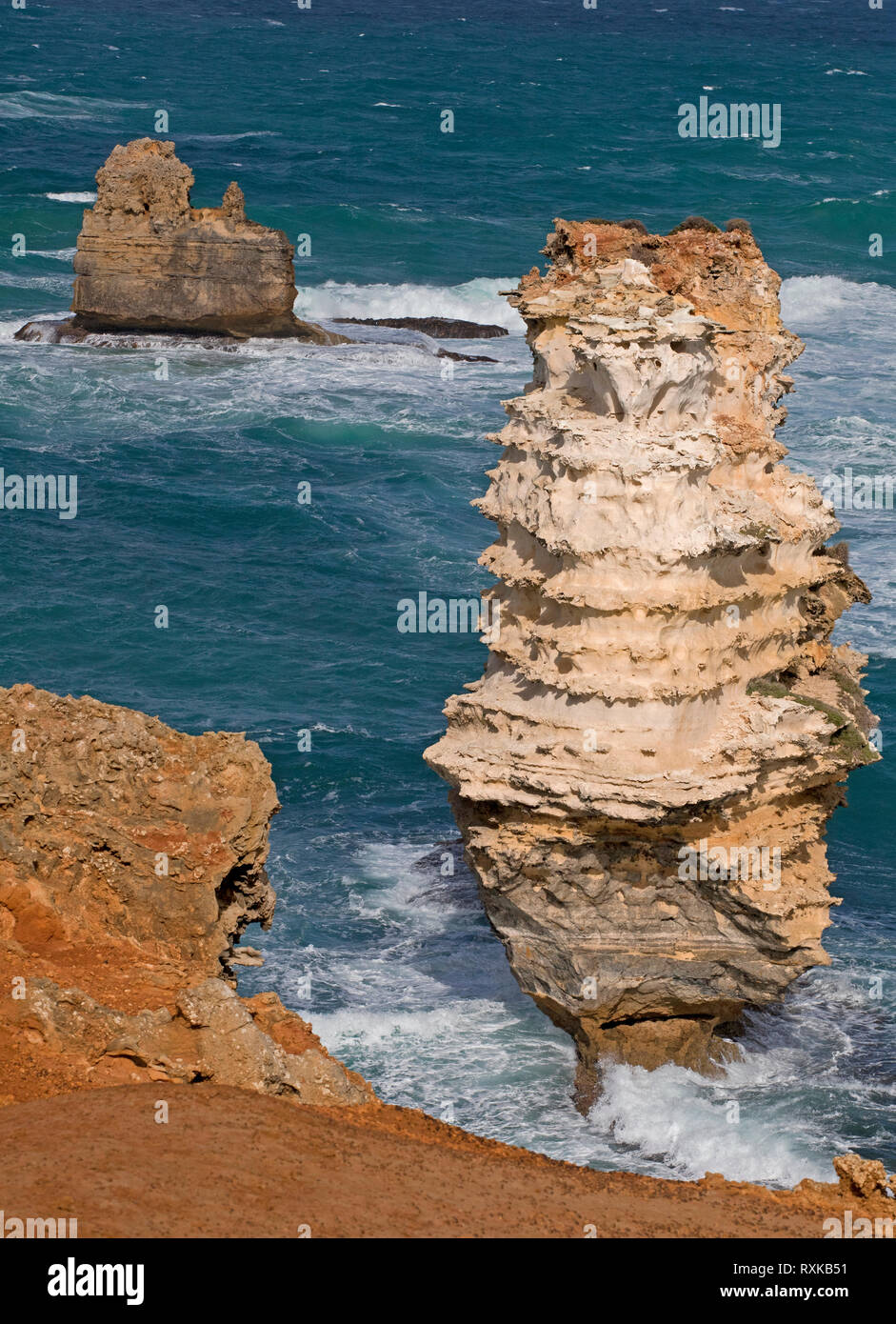 La pile de la mer dans la baie des Îles Bay of Islands Coastal Park, Great Ocean Road, Victoria, Australie, Nullawarre Banque D'Images