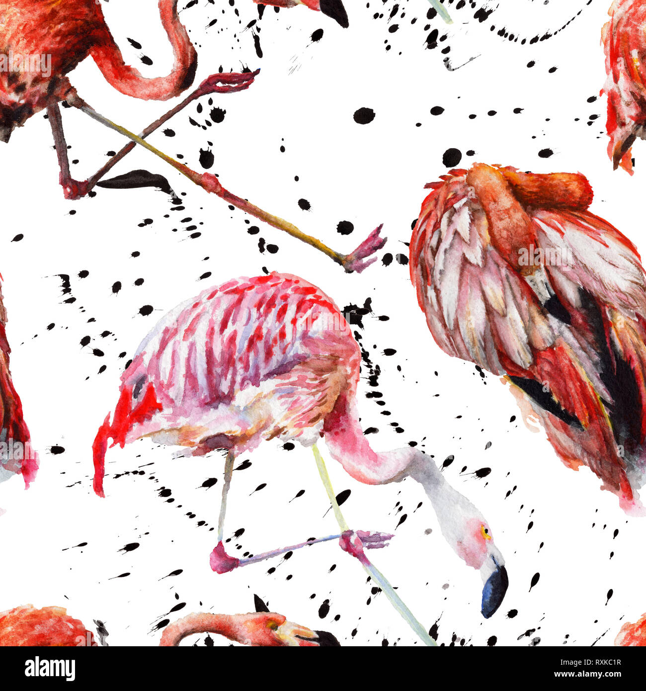 Flamingo rouge exotique dans une réserve d'espèces sauvages isolés. Contexte aquarelle illustration set. Motif de fond transparent. Banque D'Images