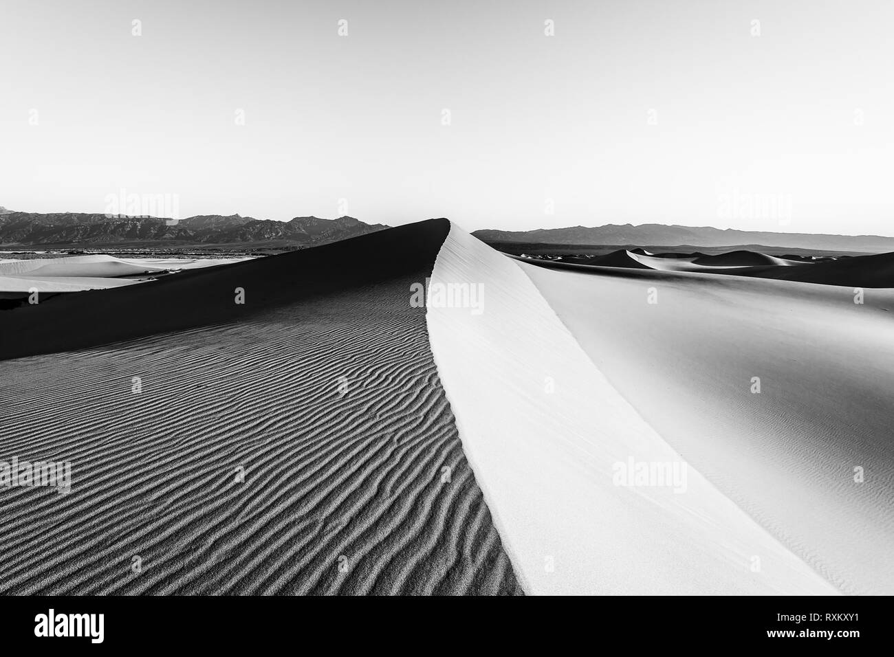 Mesquite Flat dunes de sable de l'heure d'or Banque D'Images