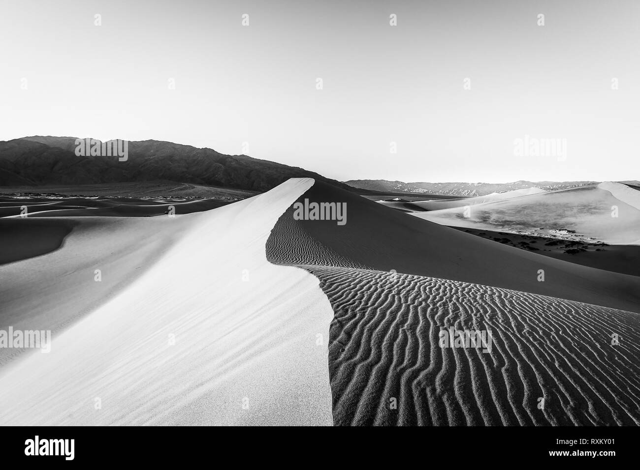 Mesquite Flat dunes de sable de l'heure d'or Banque D'Images