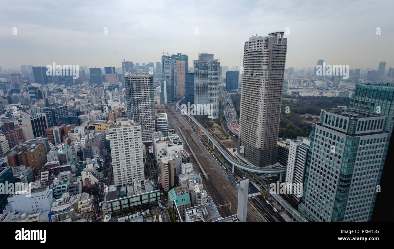 Vue aérienne de la ville de Tokyo au Japon montrant les tours d'habitation dense, les voies ferrées et les routes avec fond de ciel Banque D'Images