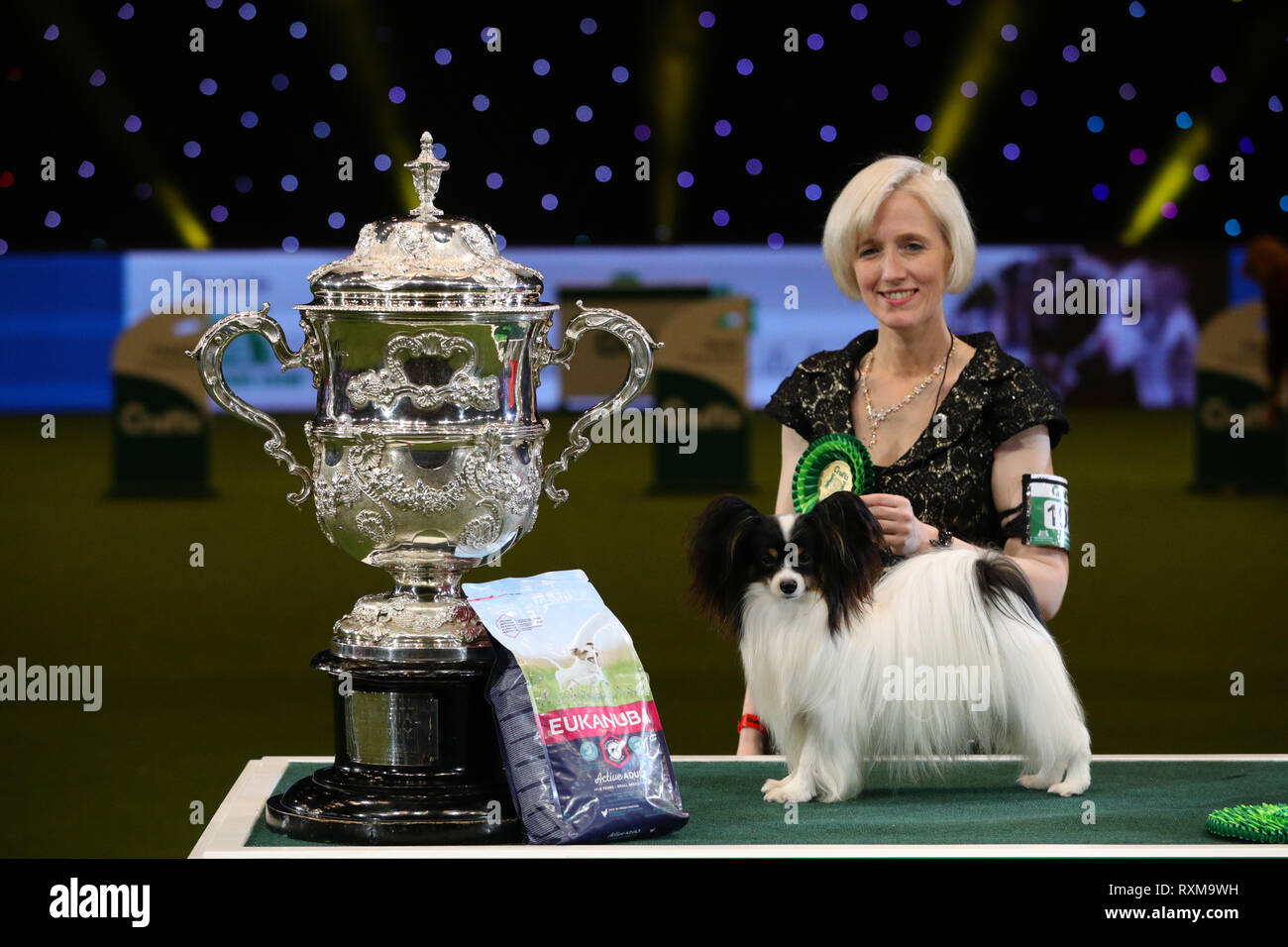 Dylan, un papillon à partir de la Belgique, en compagnie de Kathleen propriétaire Roosens après avoir remporté le Best in show lors de la dernière journée de la Crufts Dog Show 2019 au NEC de Birmingham. Banque D'Images