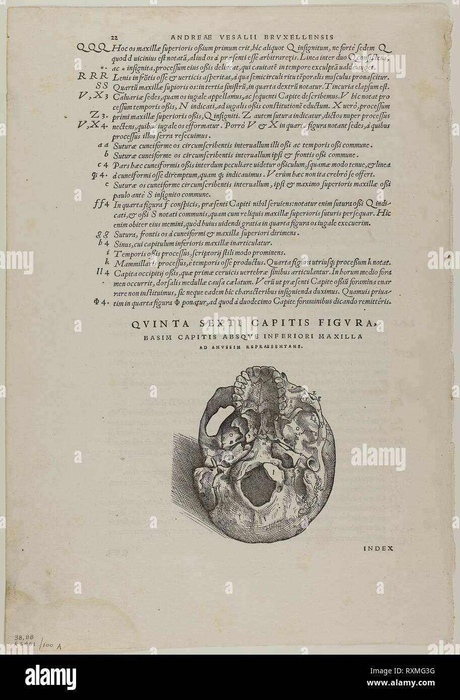 À partir de feuilles De humani corporis fabrica (crâne), la plaque de bois gravés de 100 livres du XVI siècle. Attribué à Jan Stephan van Calcar, Russisch (1499-1546/50), assemblés par Max Geisberg, Suisse (1875-1943). Date : 1543-1544. Dimensions : 111 x 109 mm (image, recto) ; 324 x 196 mm (image/texte, recto) ; 79 x 103 mm (image, verso) ; 325 x 193 mm (image/texte, verso) ; 401 x 280 mm (feuille). Xylographie sur papier. Origine : Pays-Bas. Musée : le Chicago Art Institute. Banque D'Images