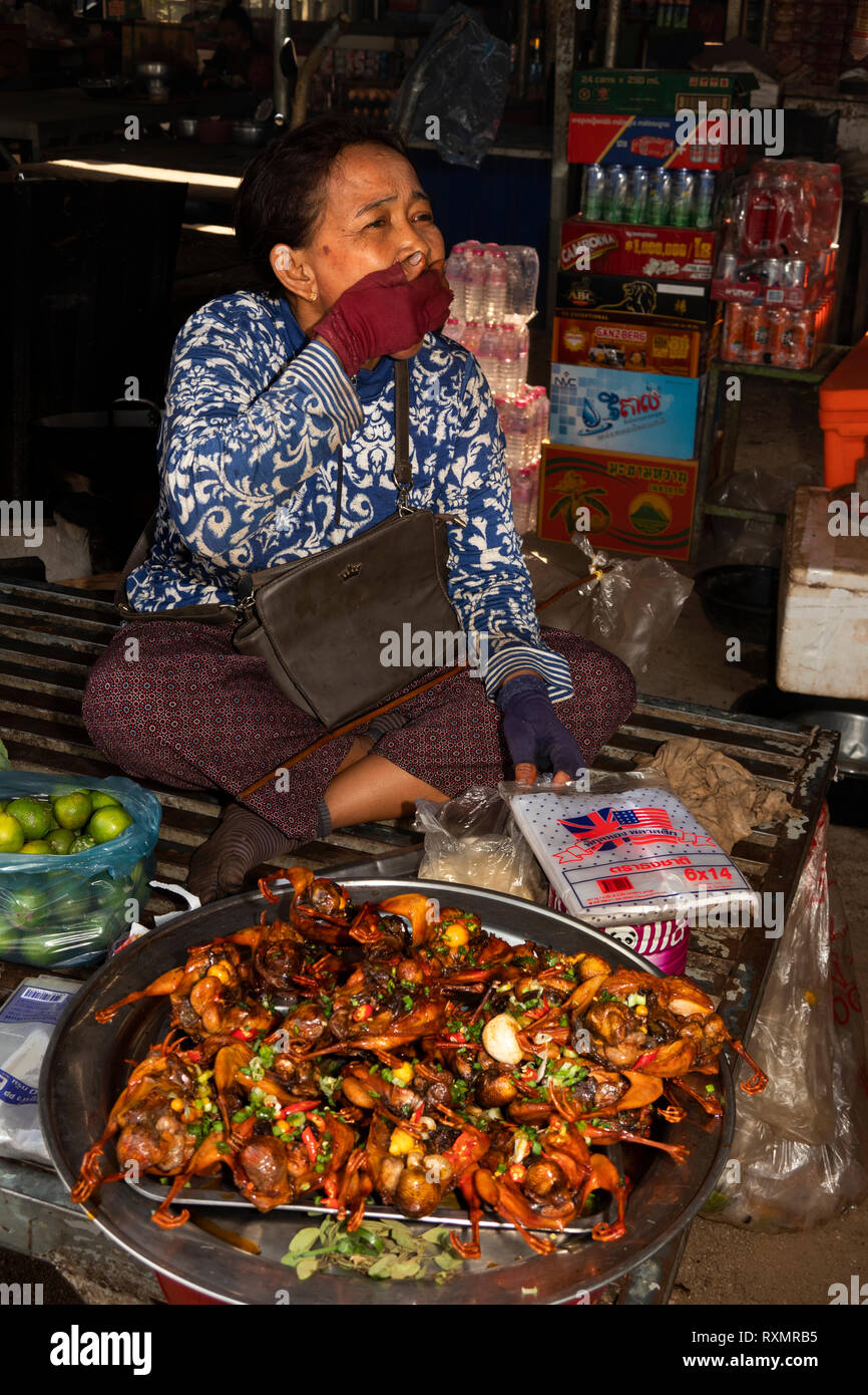 Cambodge, Phnom Penh, Oudong, l'alimentation, le marché de la viande de brousse, décrochage femme vendant de petits oiseaux cuit avec oignons et piments Banque D'Images