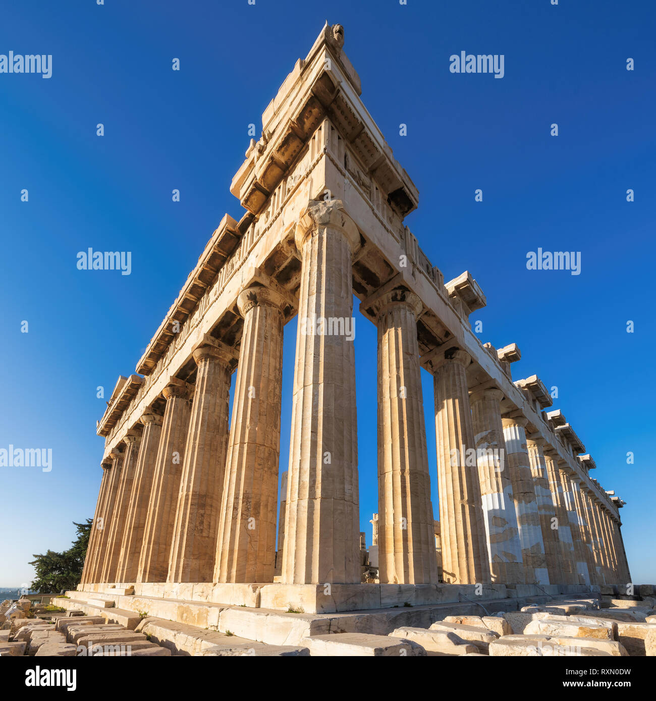 Le Parthénon sur l'acropole d'Athènes, Athènes, Grèce Banque D'Images