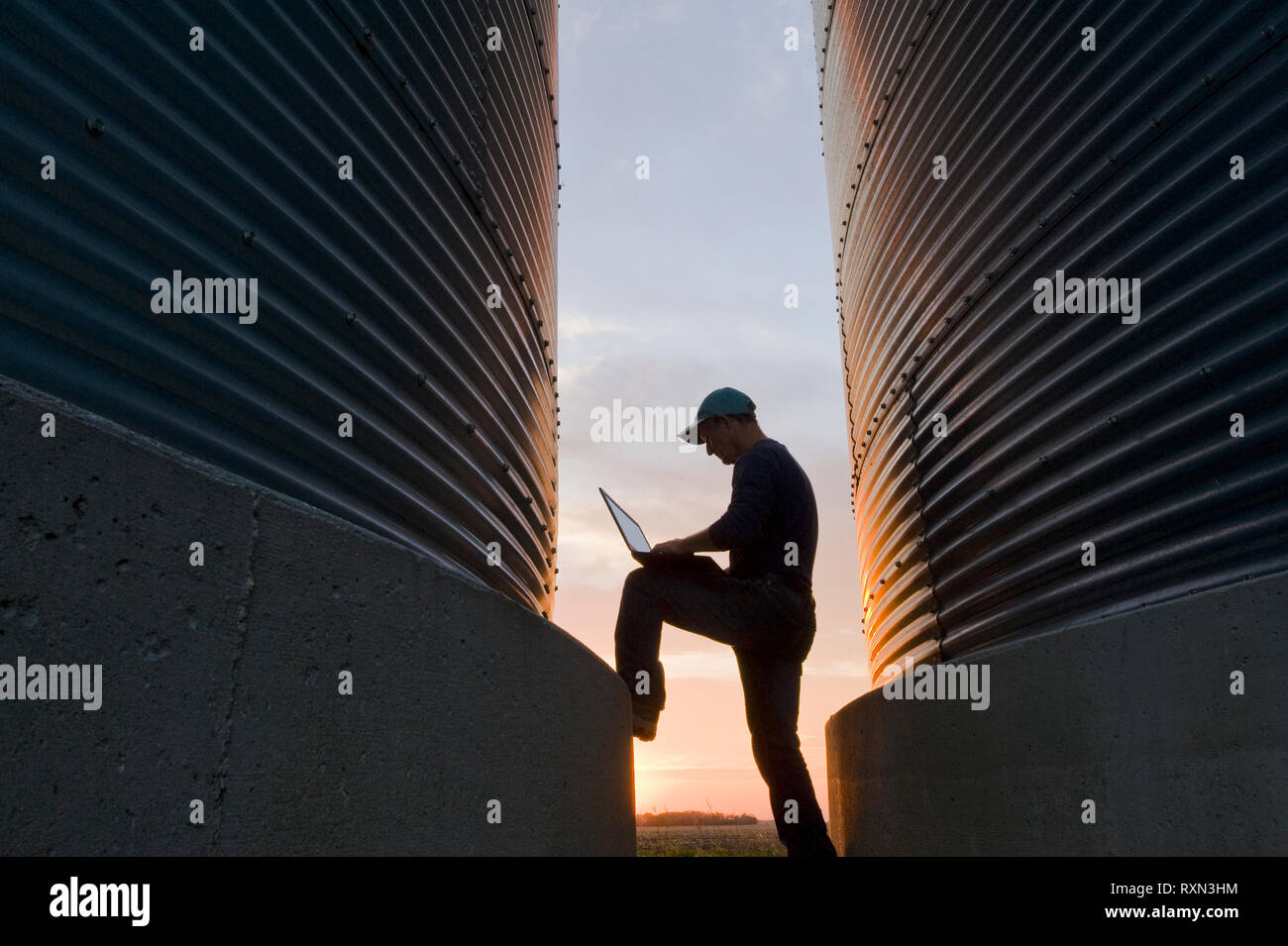 Un agriculteur à l'aide d'un ordinateur à côté de sa ferme sur les bacs de stockage du grain, près de Dugald (Manitoba) Banque D'Images