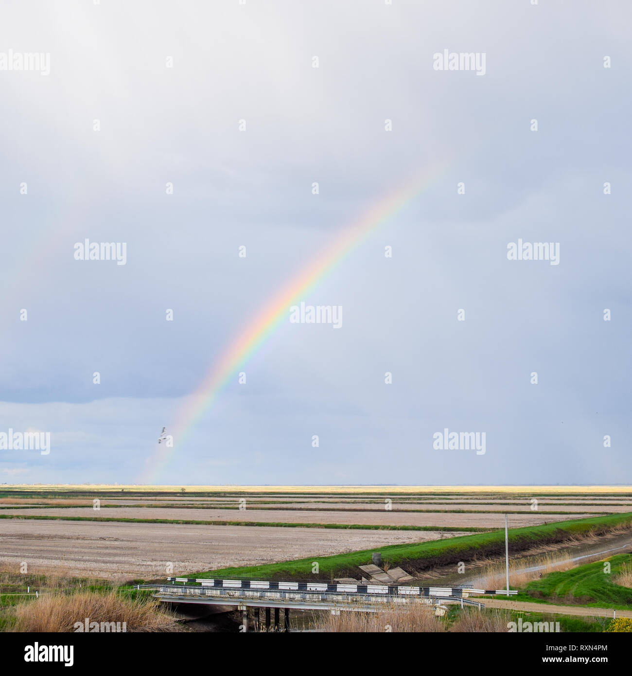 Arc-en-ciel, une vue sur le paysage dans le domaine. Formation de l'arc en ciel après la pluie. La réfraction de la lumière et de l'expansion en termes de spectres. Banque D'Images