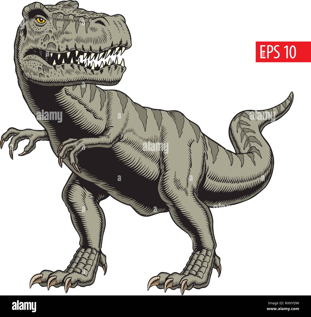 Tyrannosaurus rex ou t rex dinosaure isolé sur blanc. Style Bande dessinée vector illustration. Illustration de Vecteur